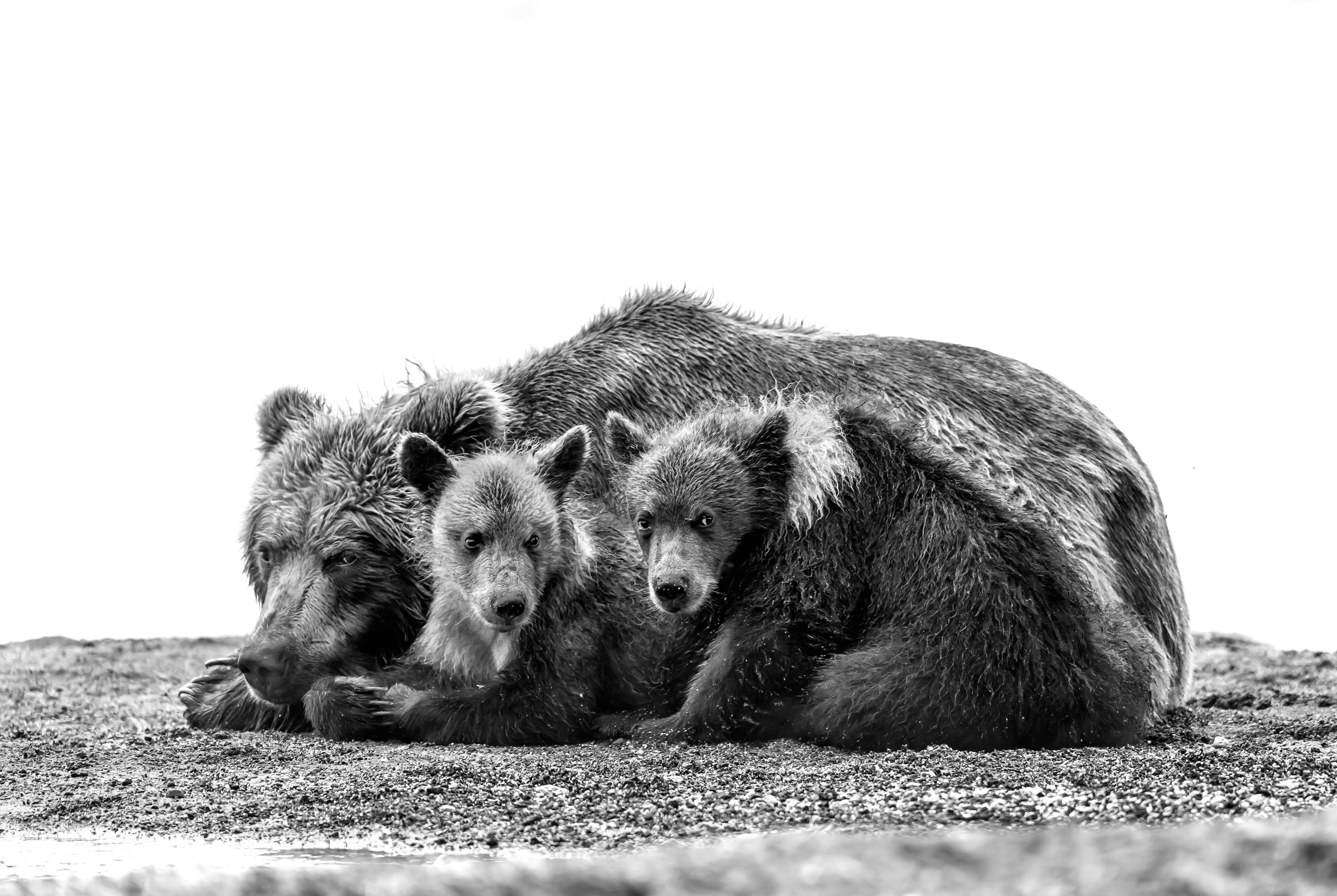 Kamchatka 2016 - B&W