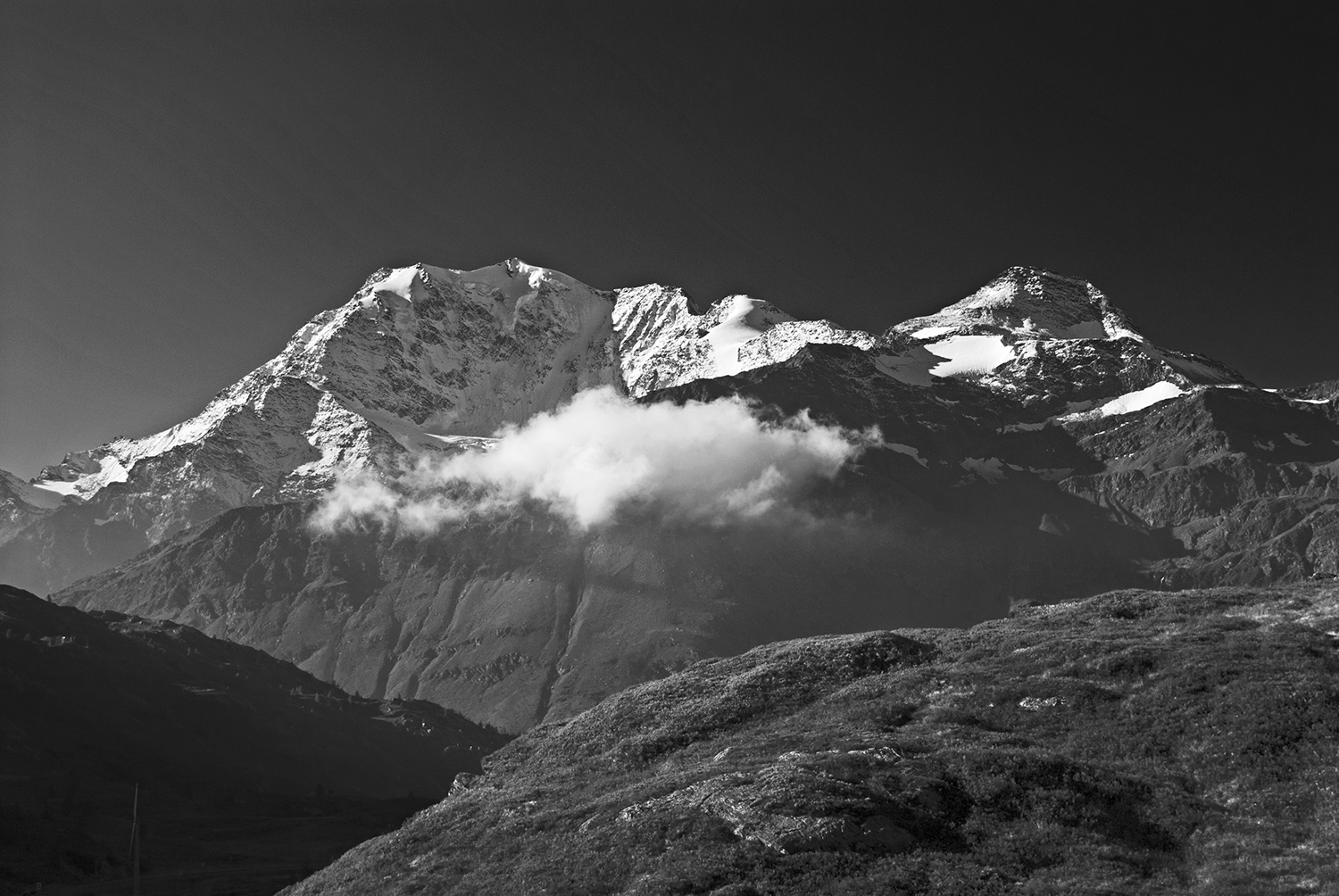 Fletshhorn e Boshorn bw