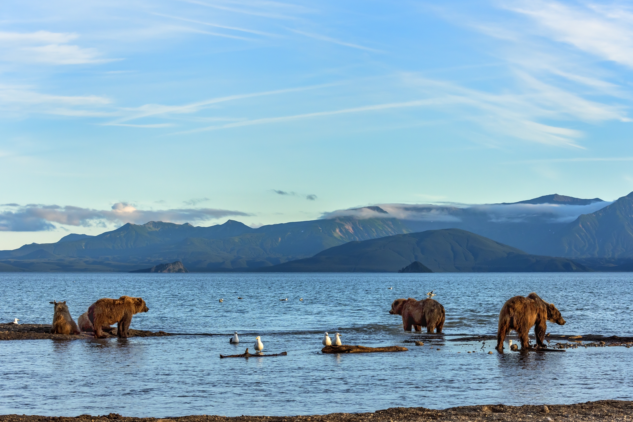 Kamchatka 2016 - Kurile Lake