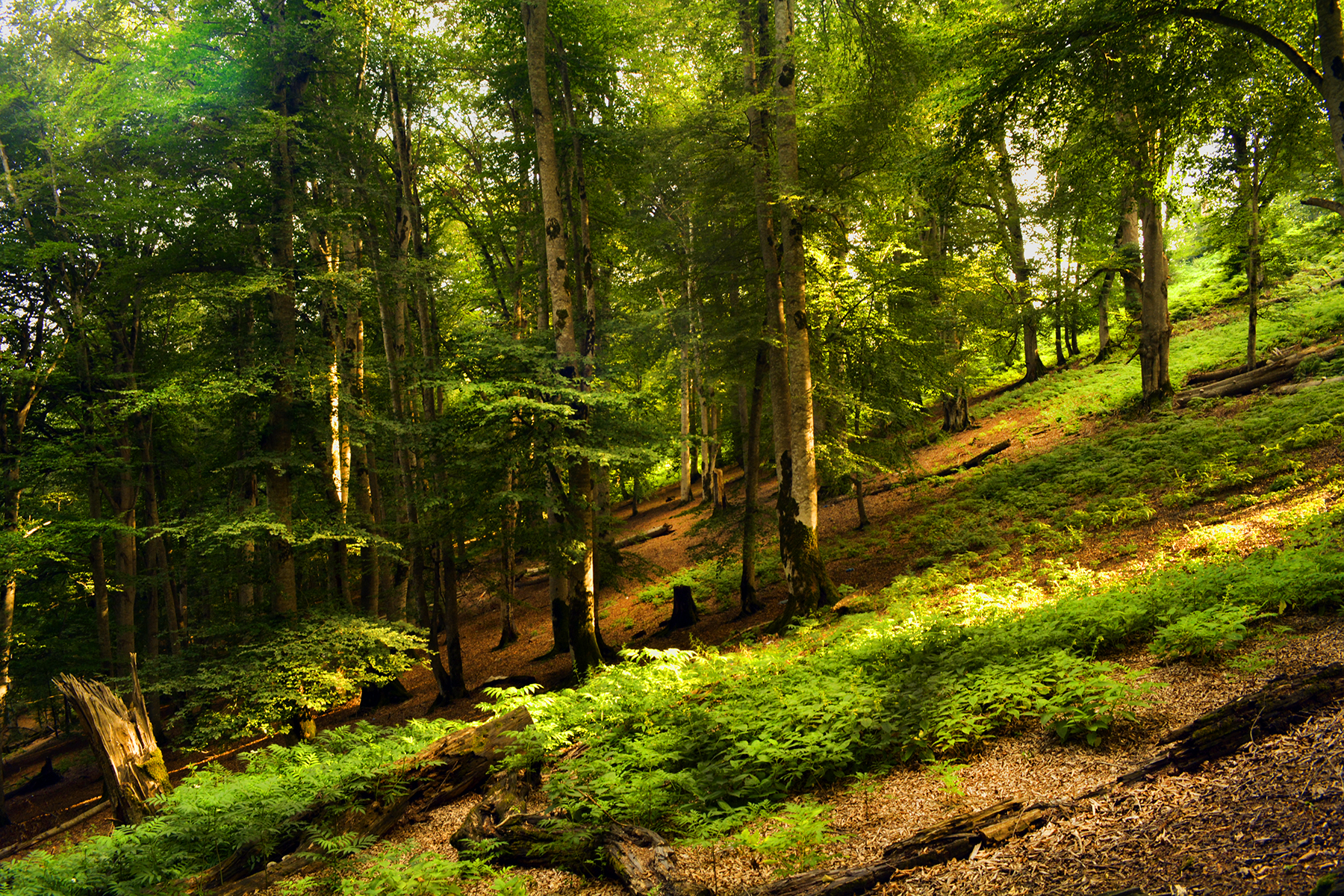 Kalkhal to Poonel road