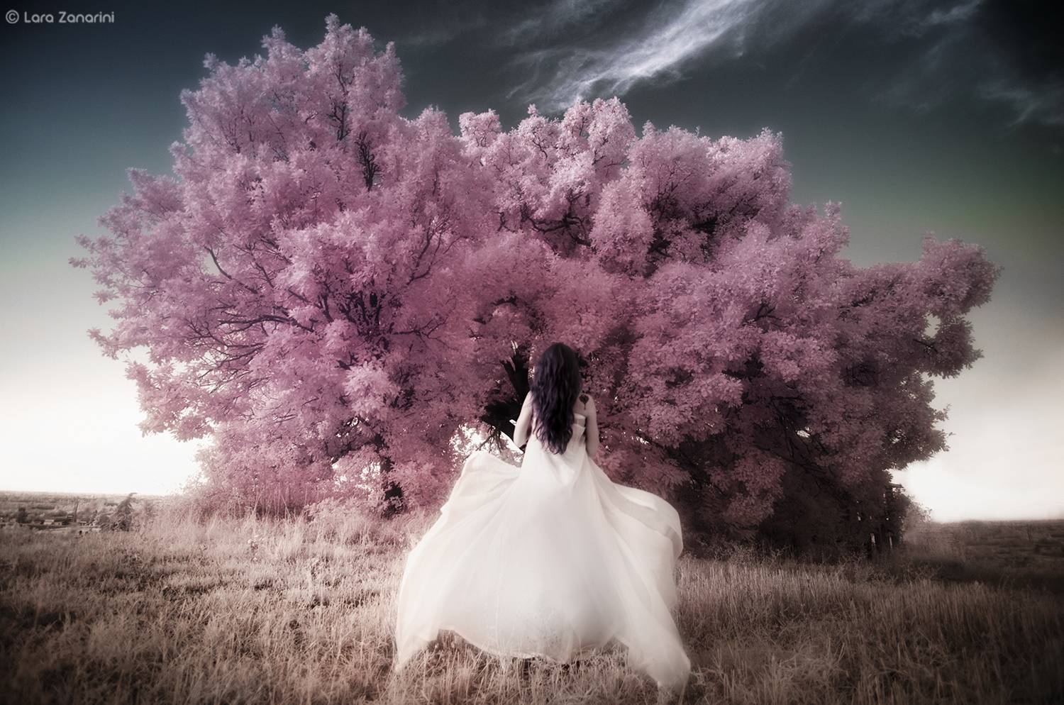 I'm loving angels instead