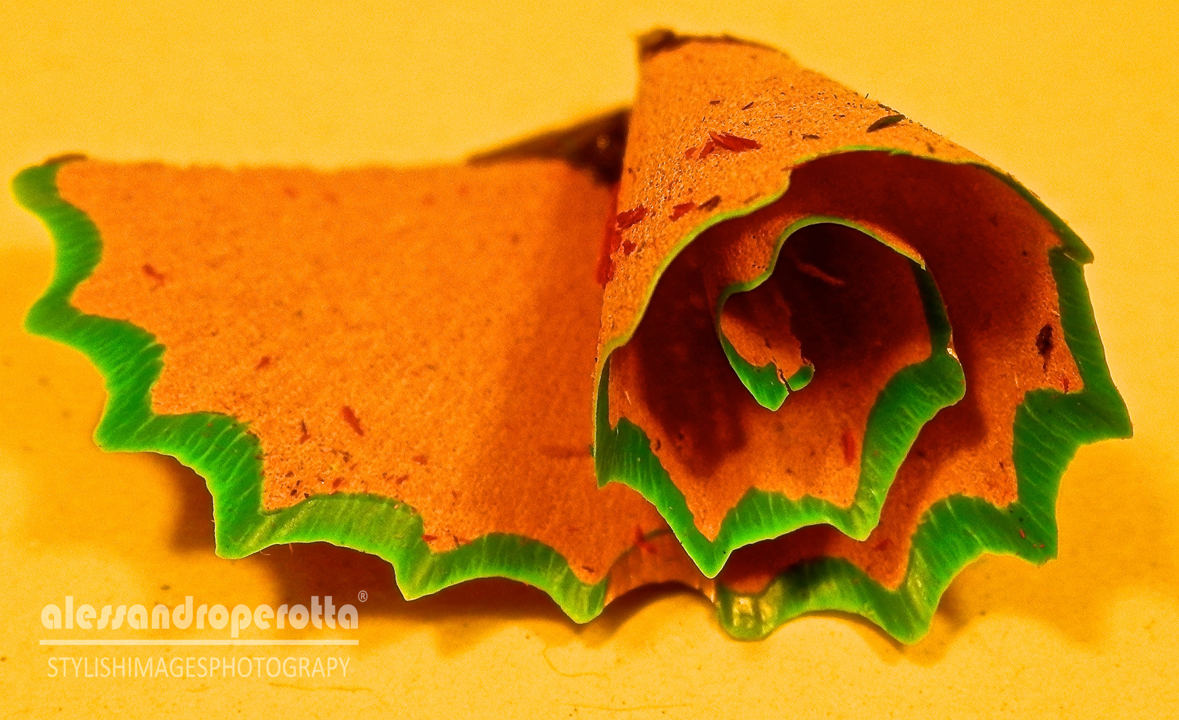 Inizia la scuola....