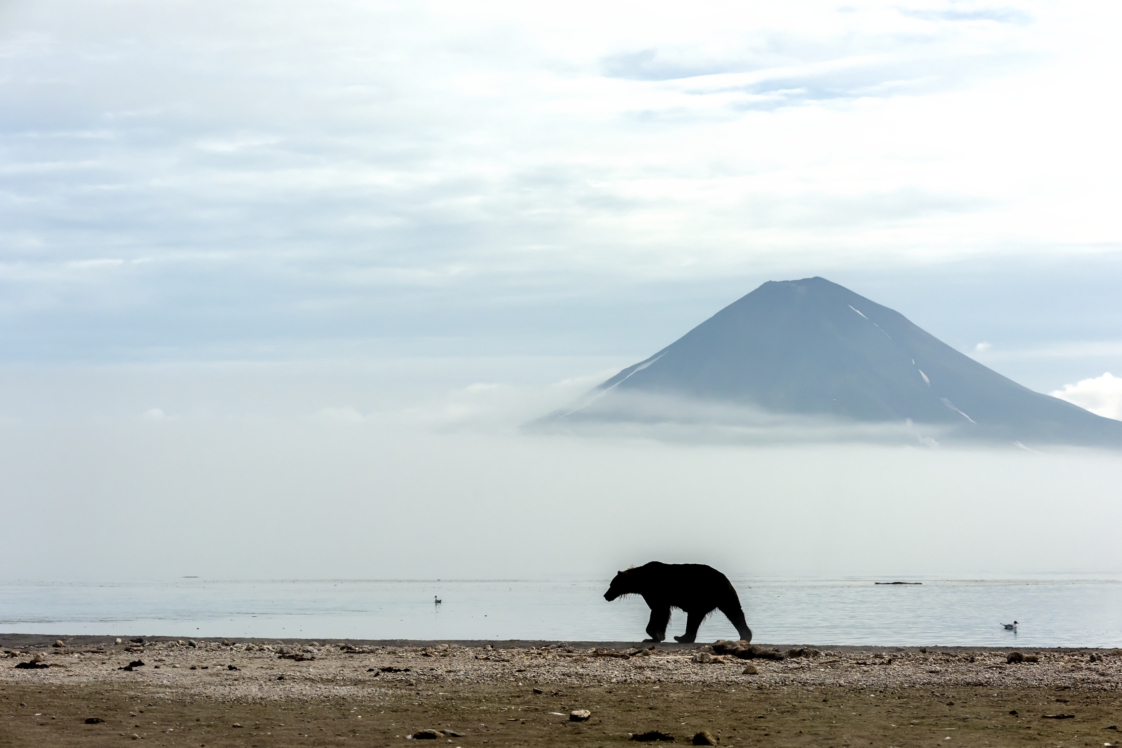 Kamchatka 2016 - Nebbia sul vulcano