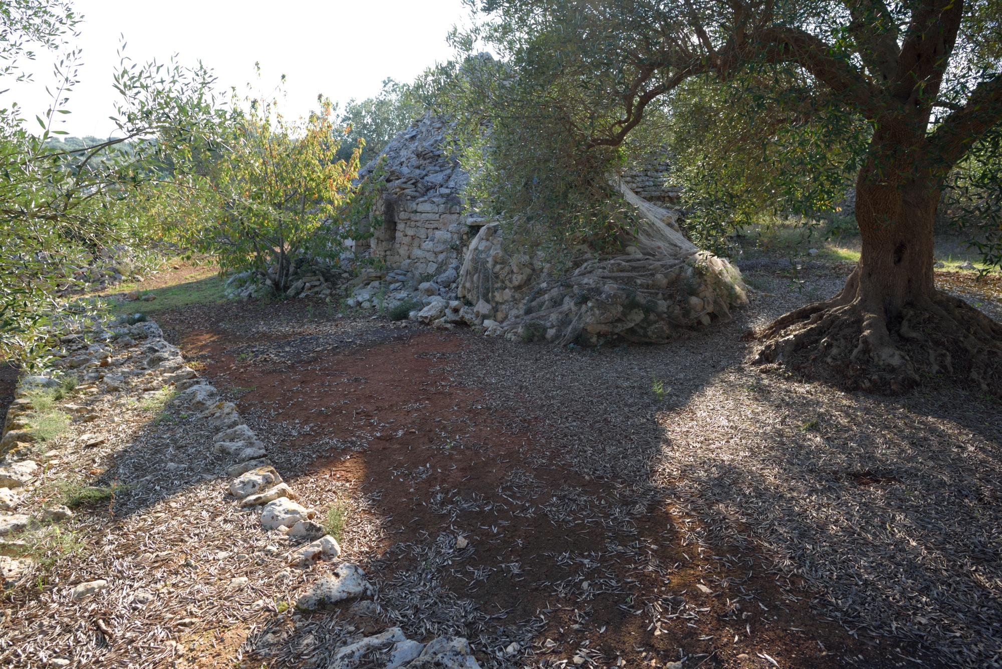 Puglia, the land of the trulli