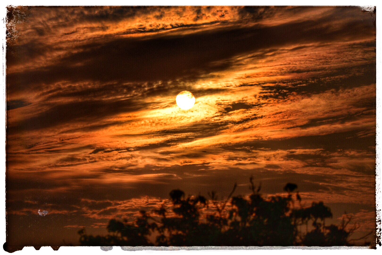 Tramonto in Delta di' Danubio
