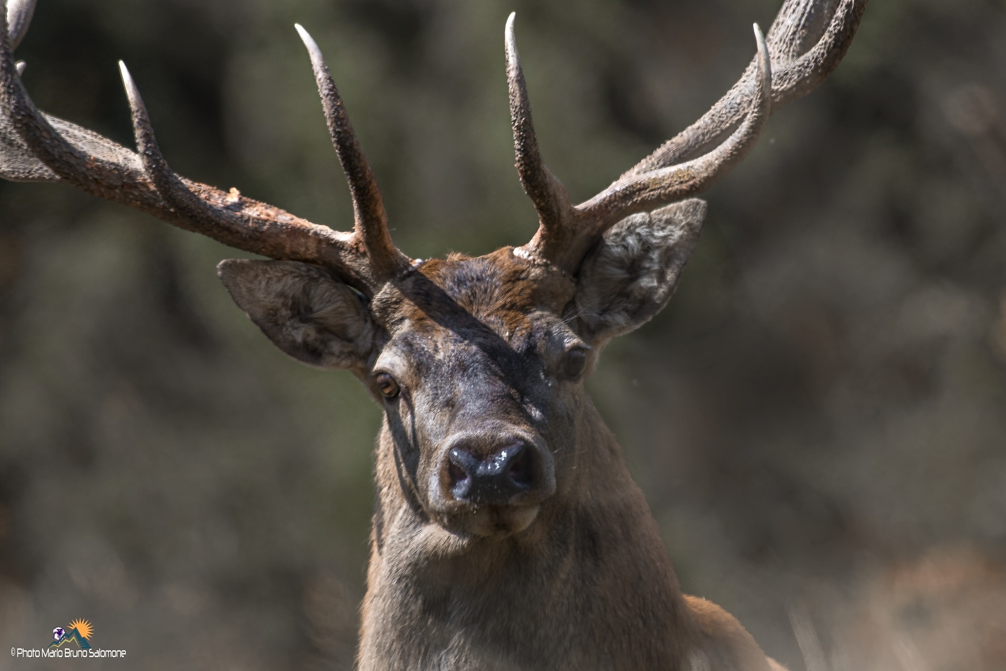 The surprise .. at a glance