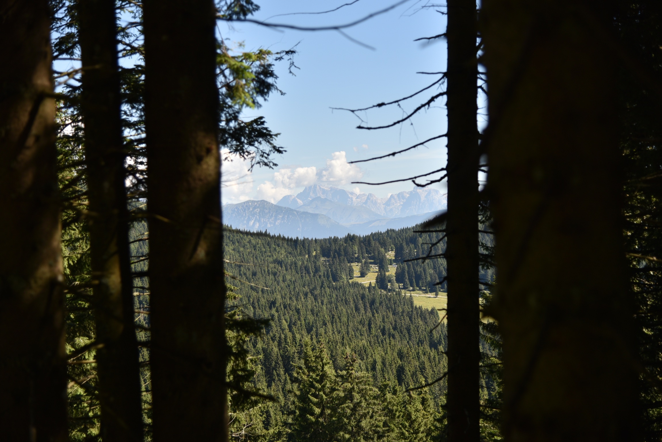 Finestra sull'altro piano asiago