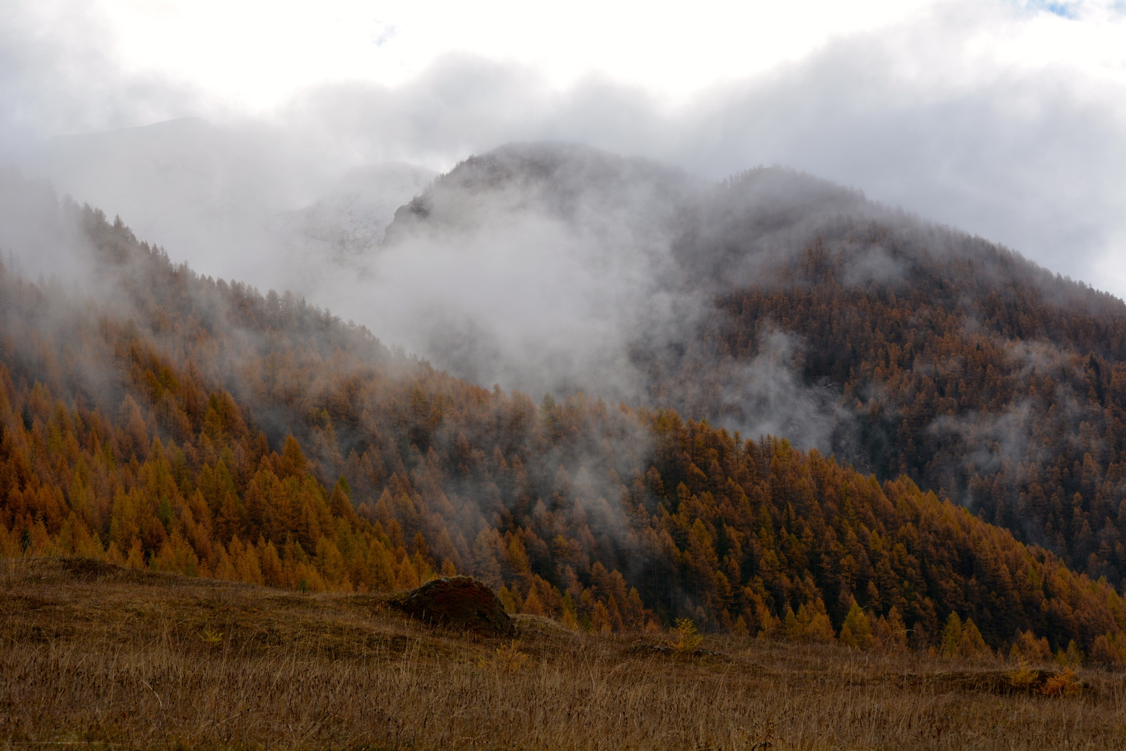 Roschemolles bardonecchia