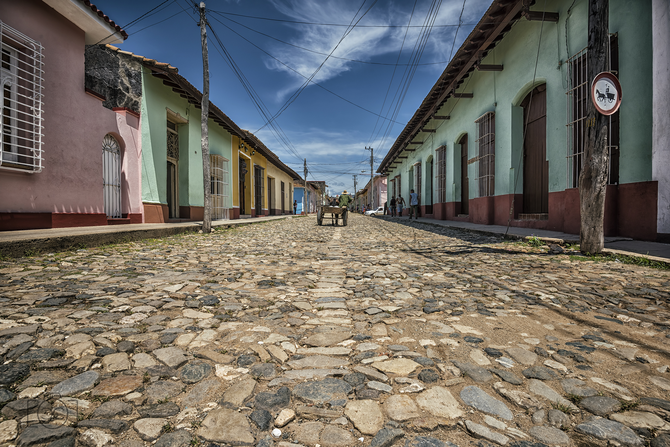 No animal drawn vehicles