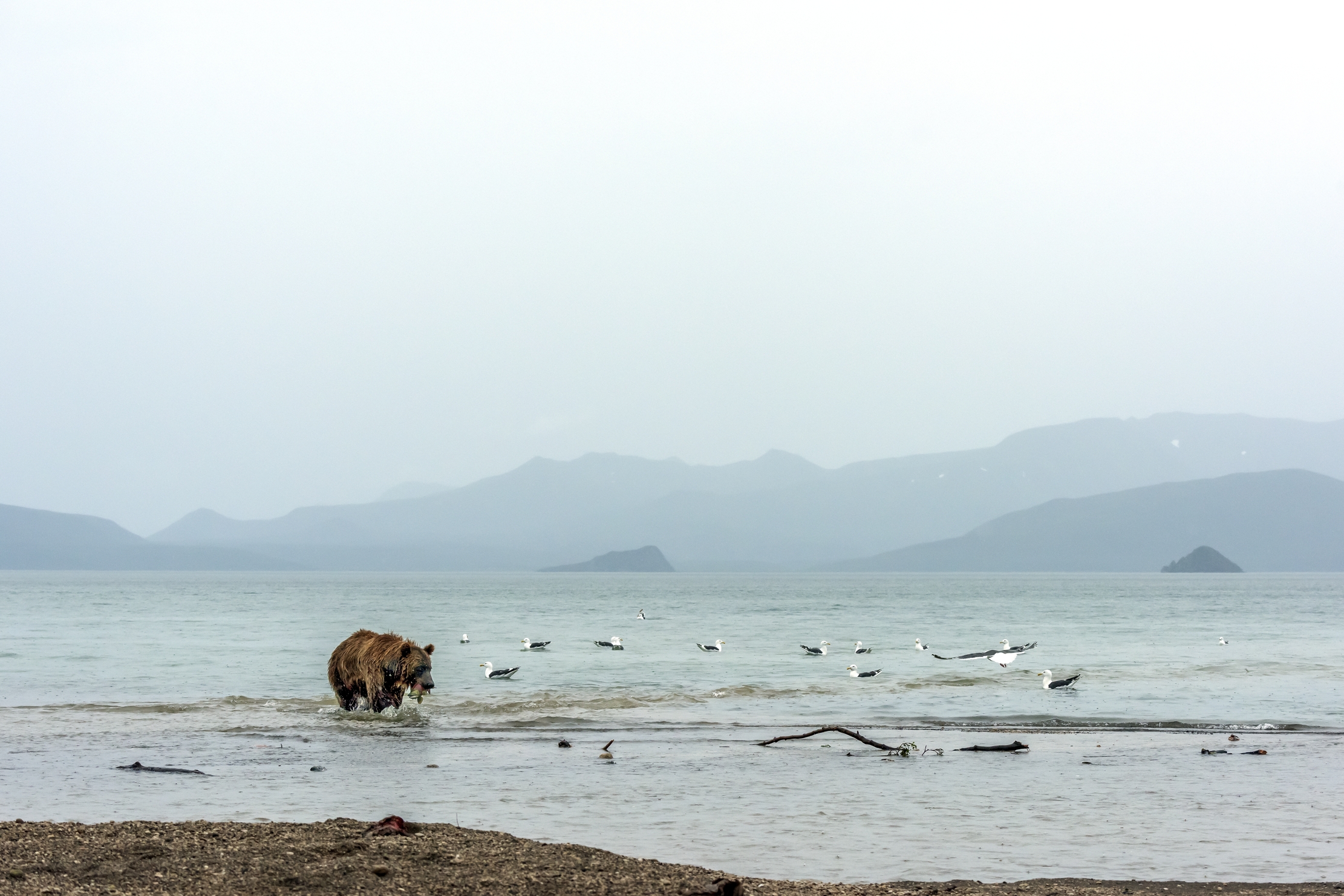 Kamchatka 2016 - Kurile lake