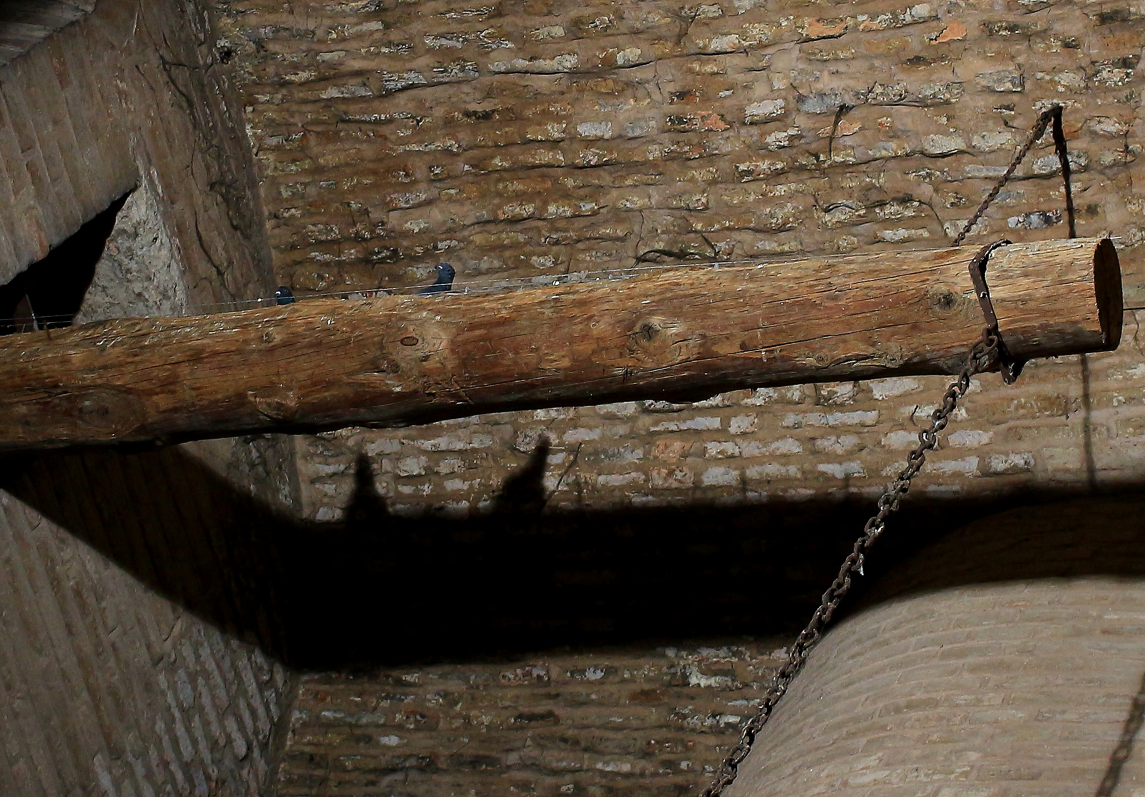 I posti in piccionaia