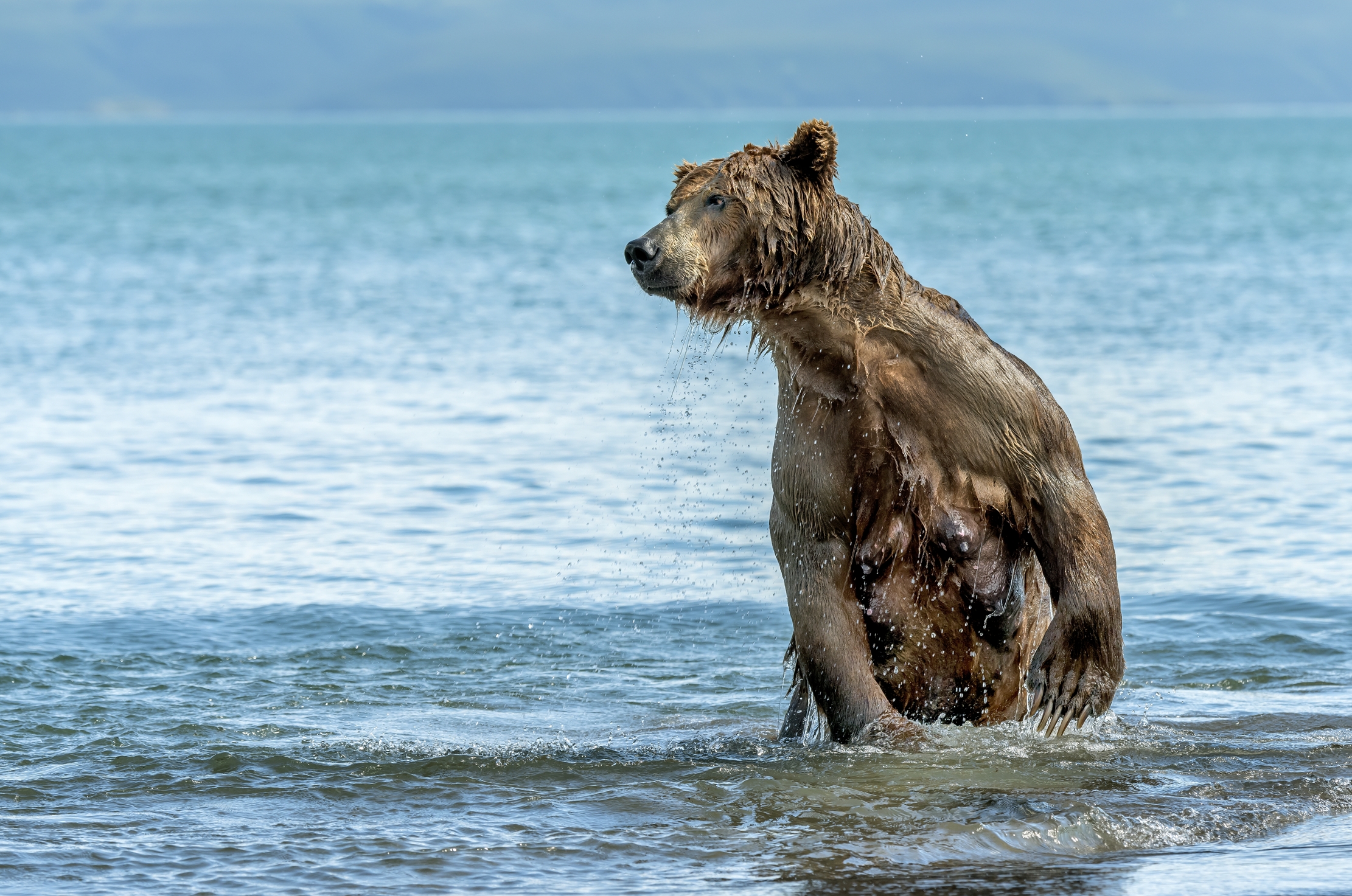 Kamchatka 2016 - Pescando
