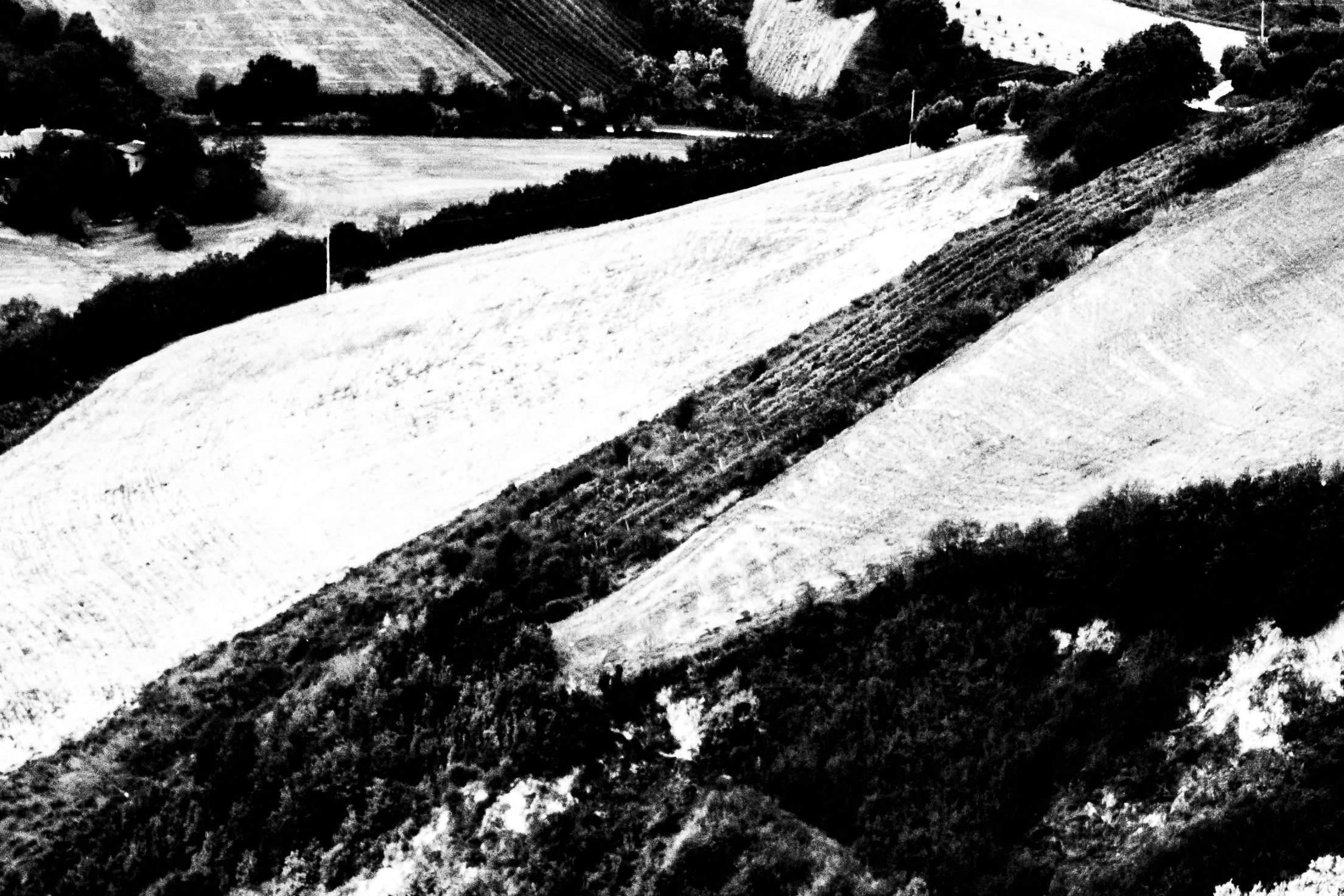 Tributo a Mario Giacomelli