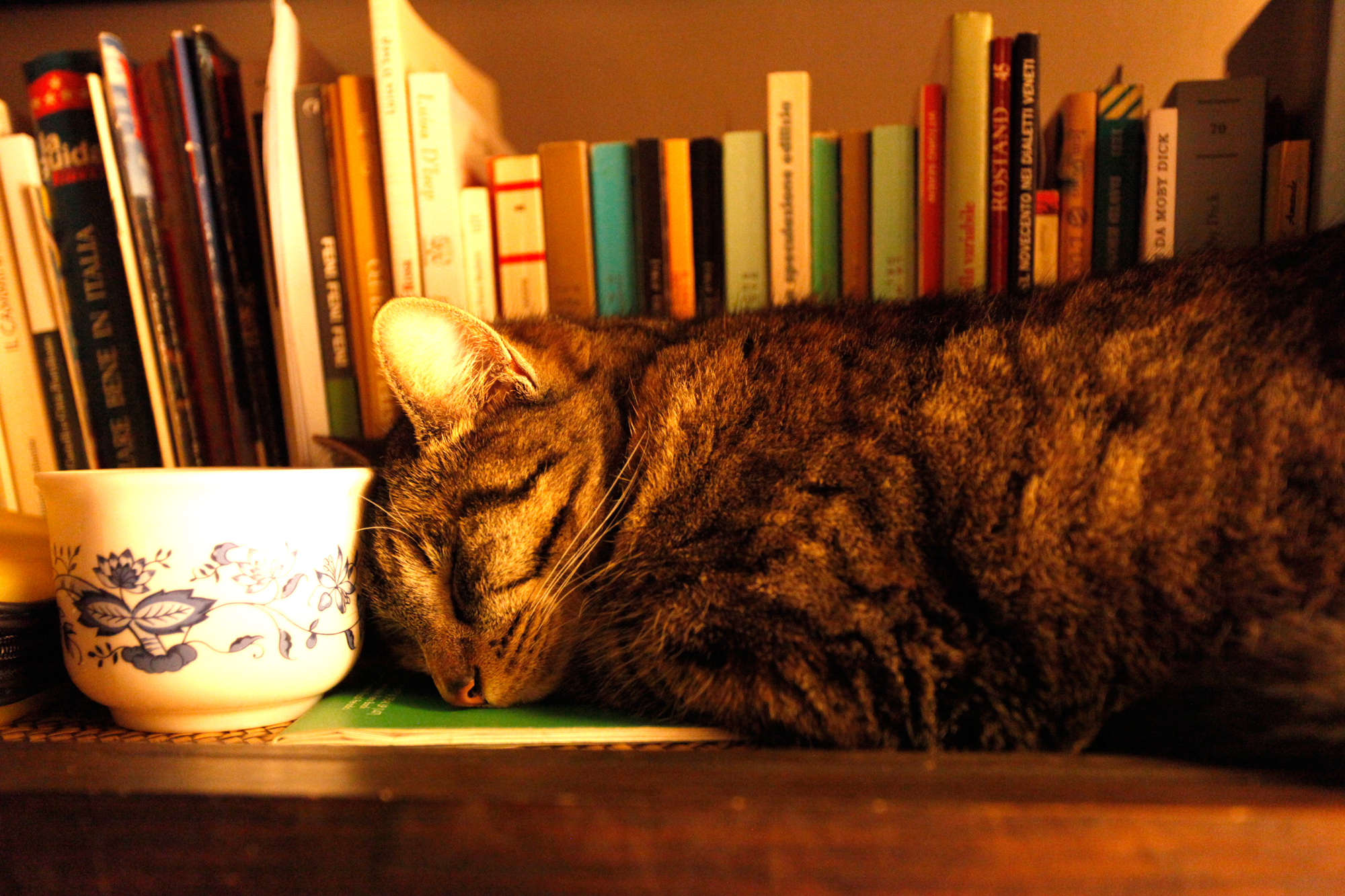 another coffee, please ...