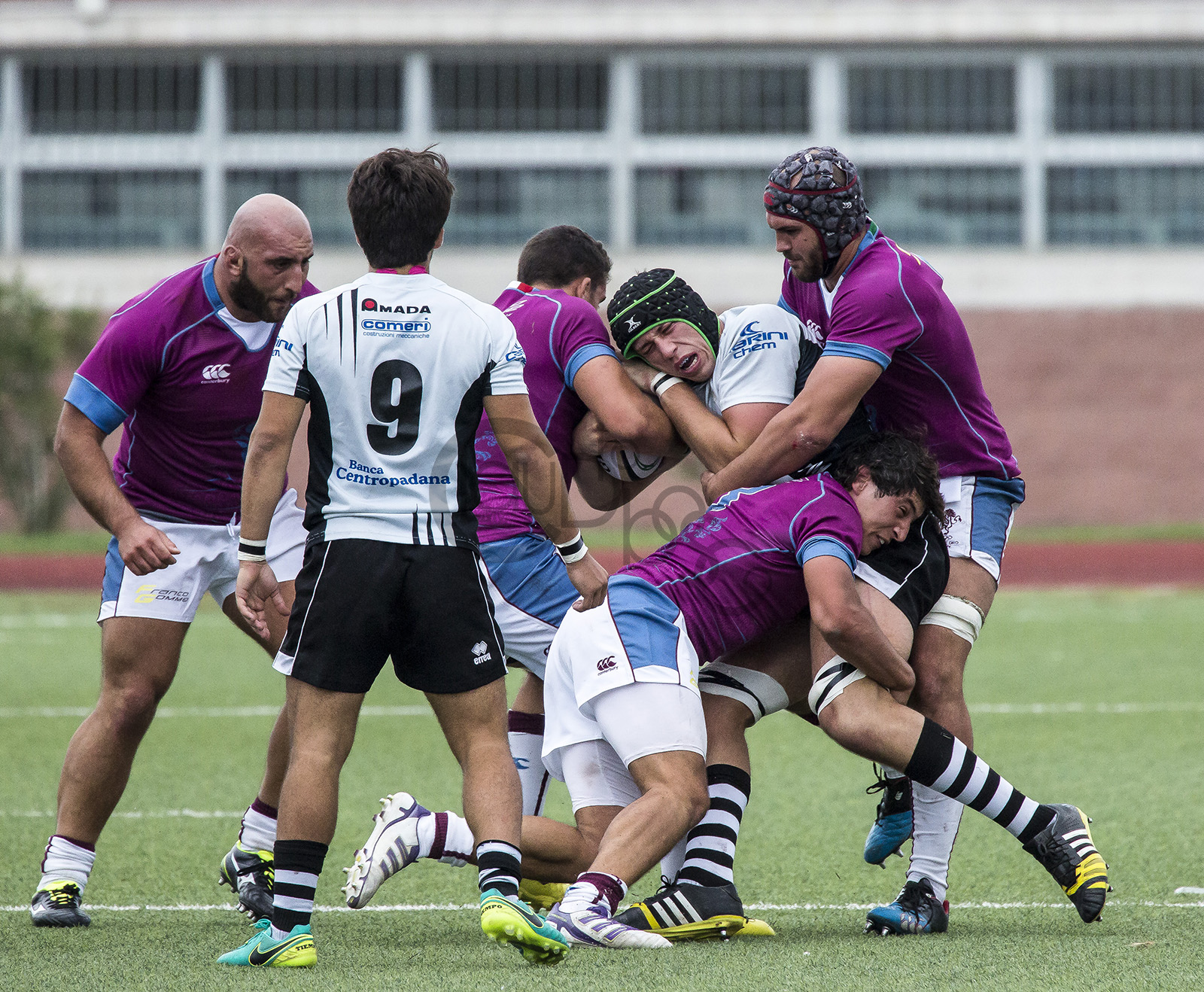 Gold Flames vs Lyons Piacenza