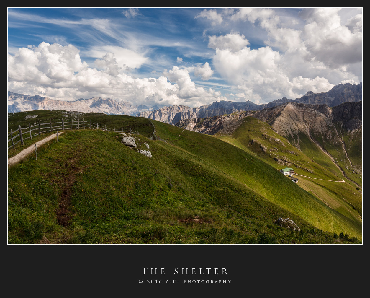 The Shelter