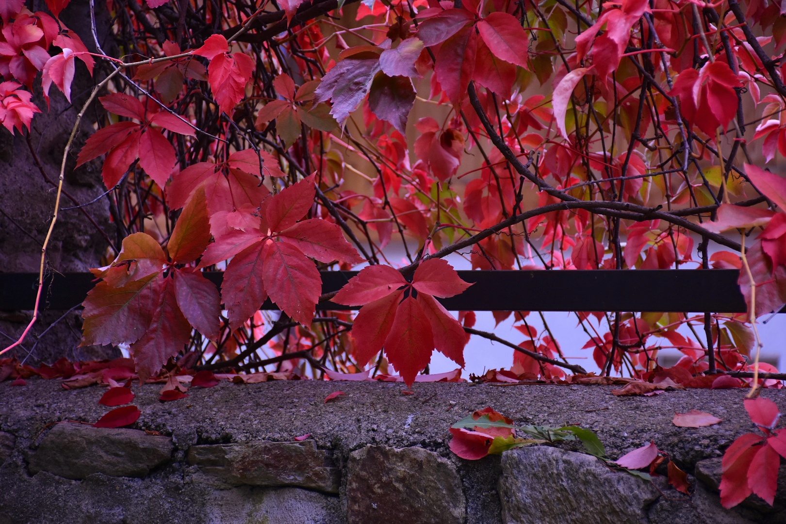 I colori dell'autunno