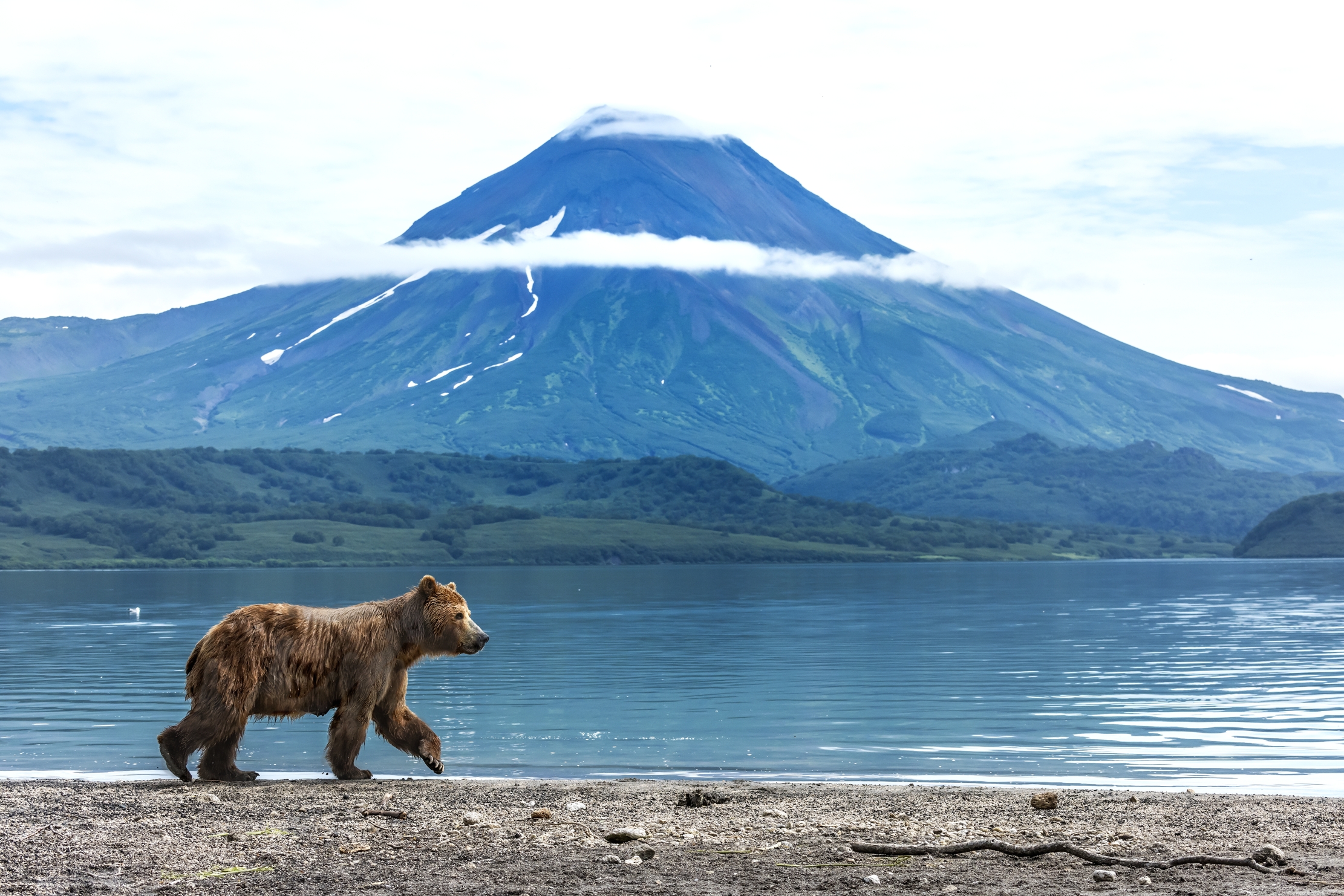 Kamchatka 2016 - L'orso, il lago e il vulcano