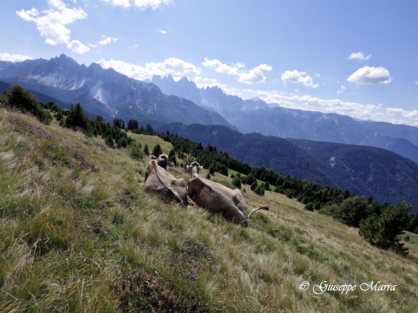 Dopo tanto di qui, pensa che bello di lì!