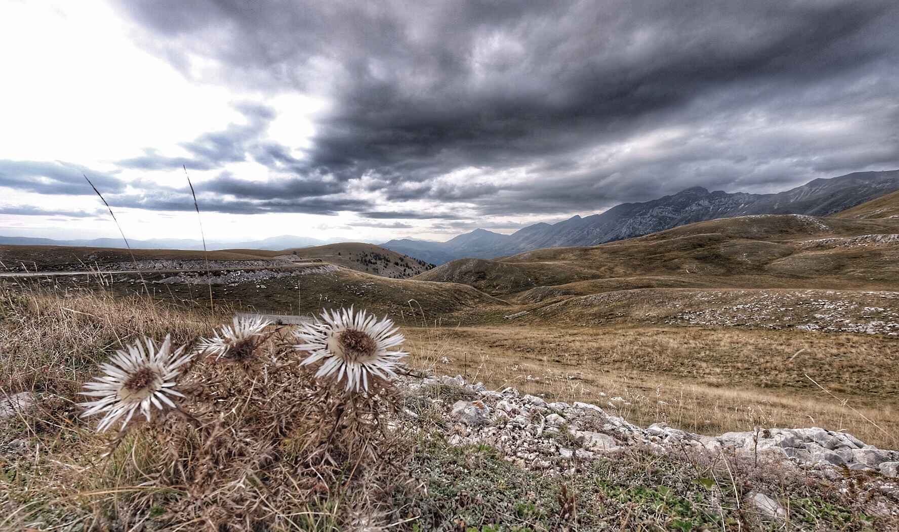 Deserto in alta quota
