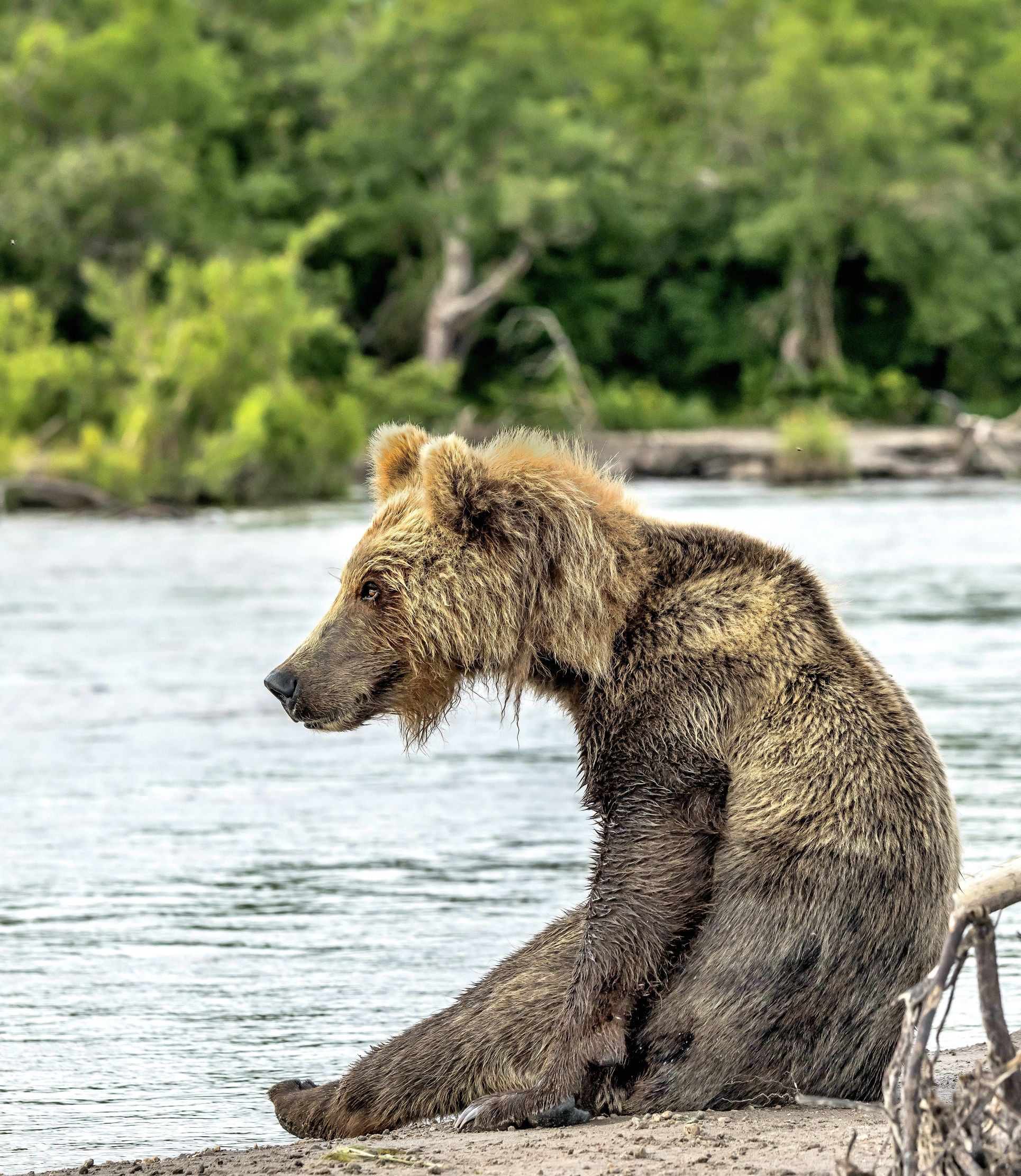 Kamchatka 2016 - Seduta