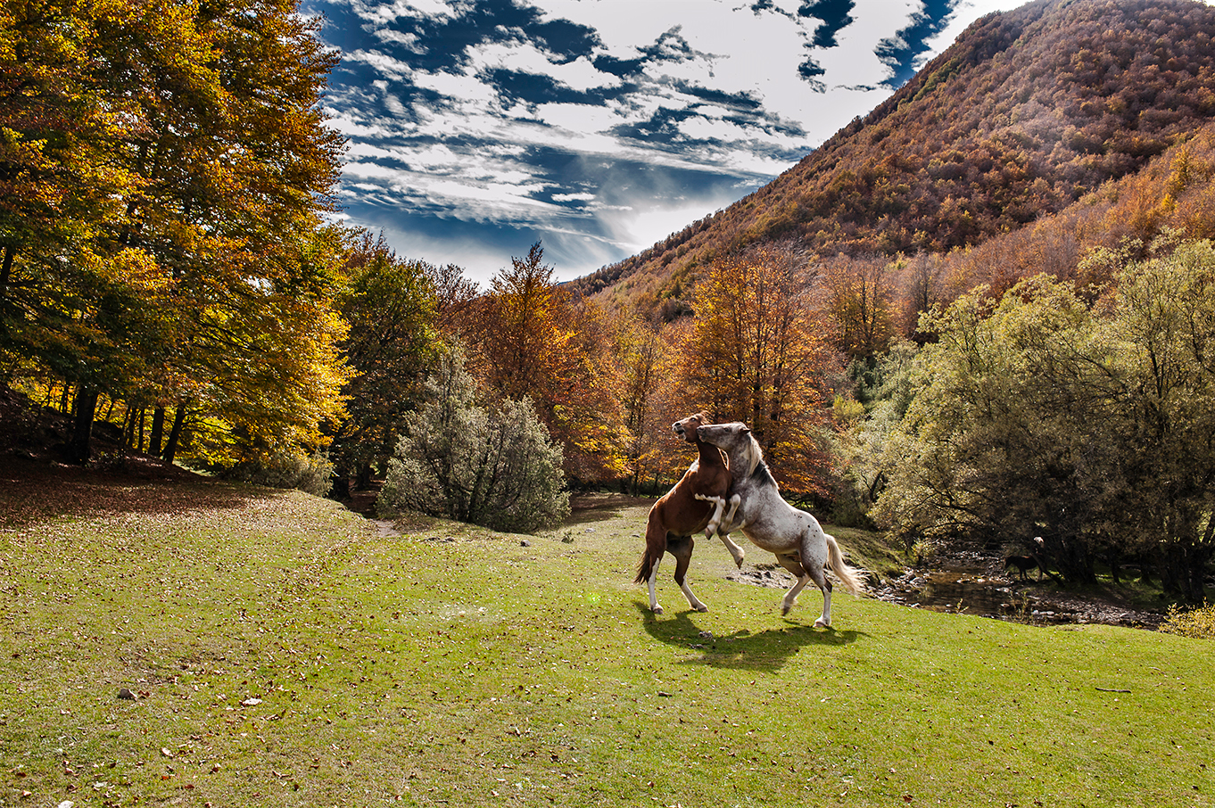 Fall to the Abruzzo National Park