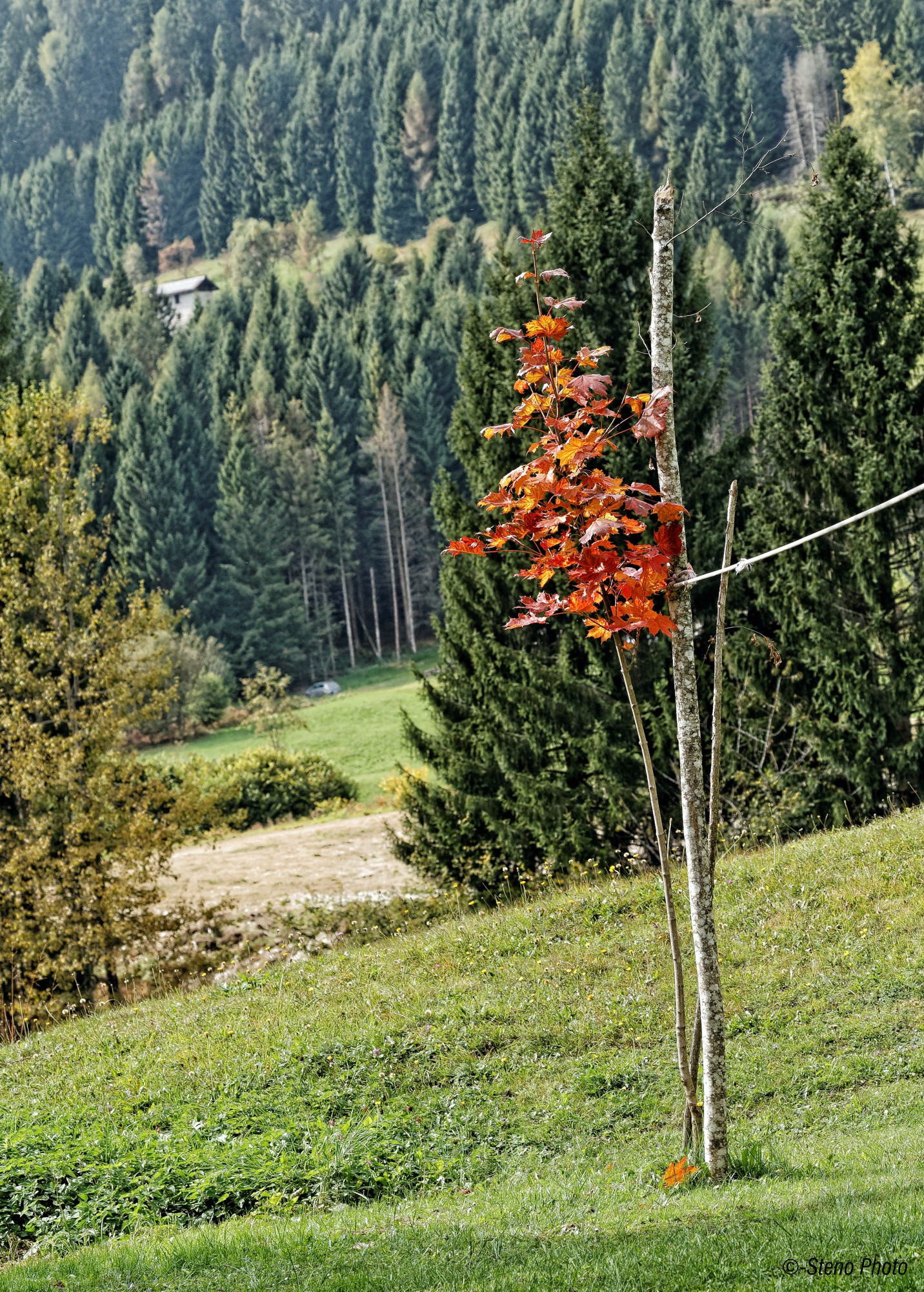 Accenno d'autunno