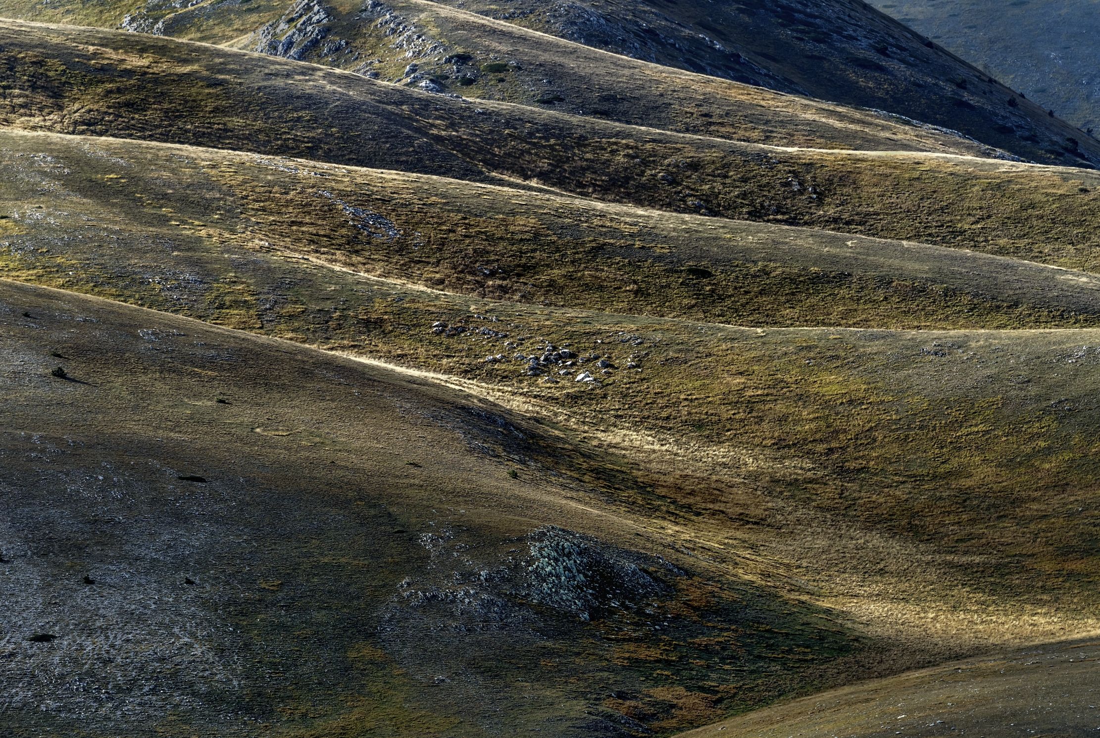 interpretation Campo Imperatore - Meeting in October 2016