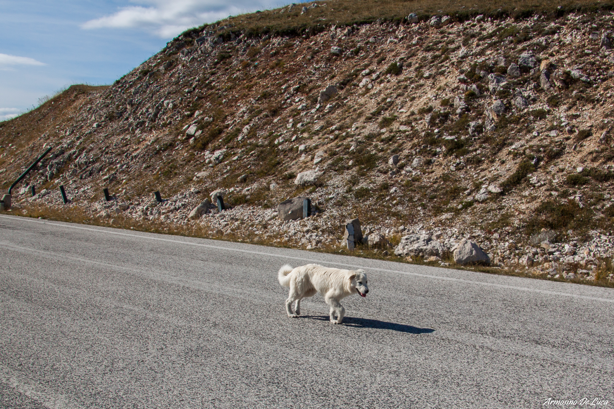 He too is an Abruzzo.