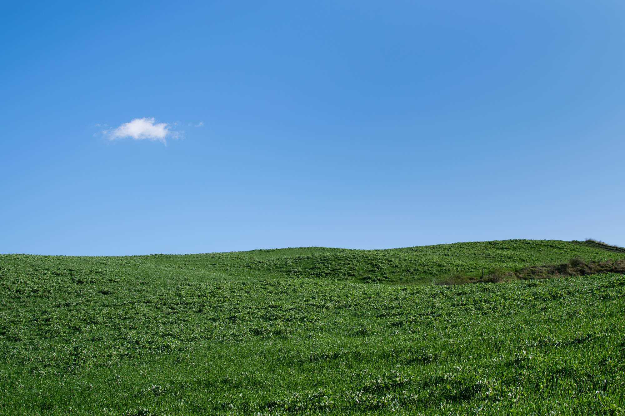 Windows Xp