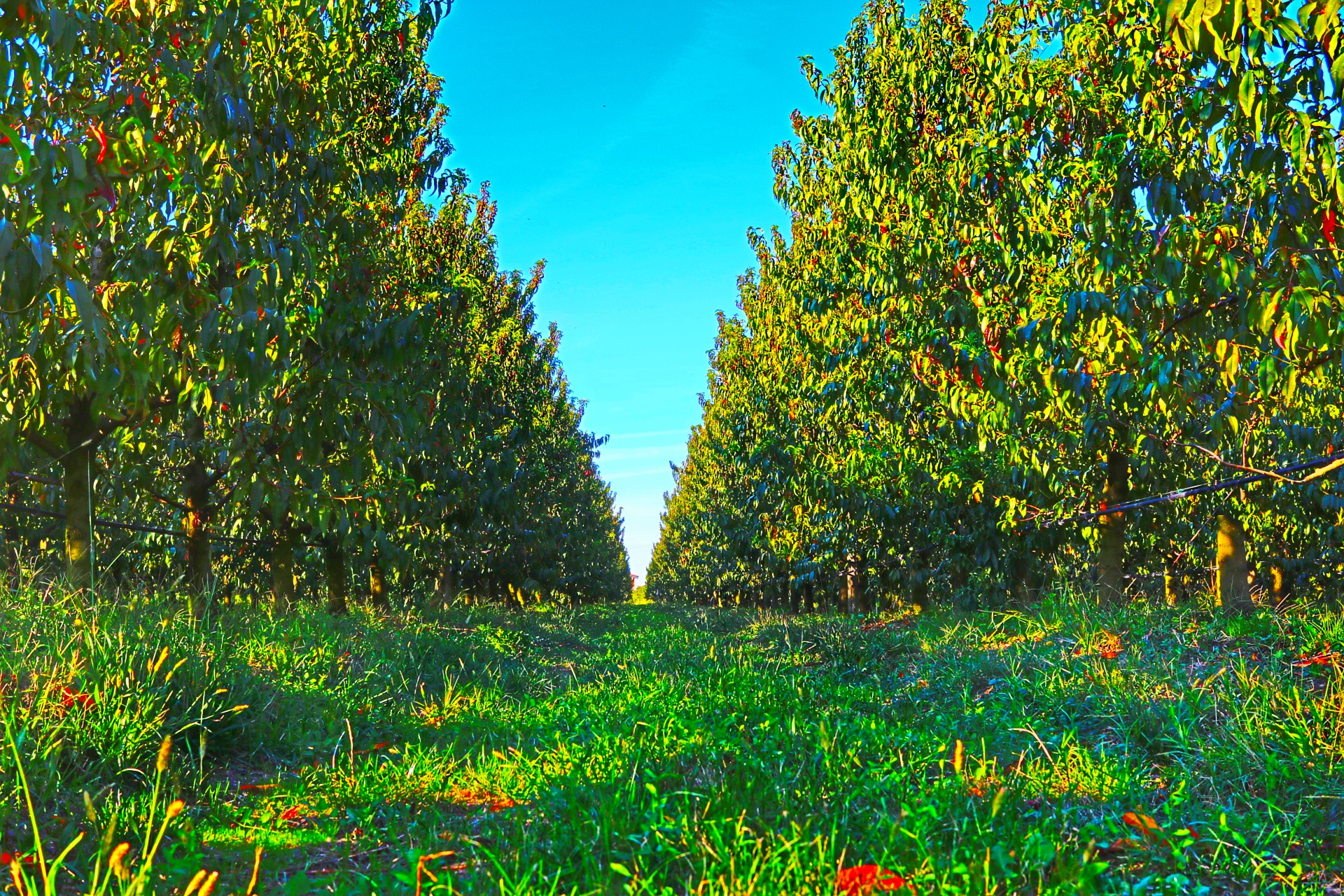 The way of collecting