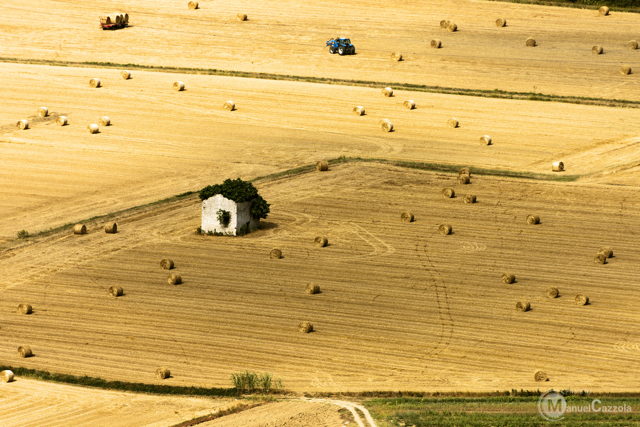 "Va' dalla formica, o pigro, guarda le sue abitudin...