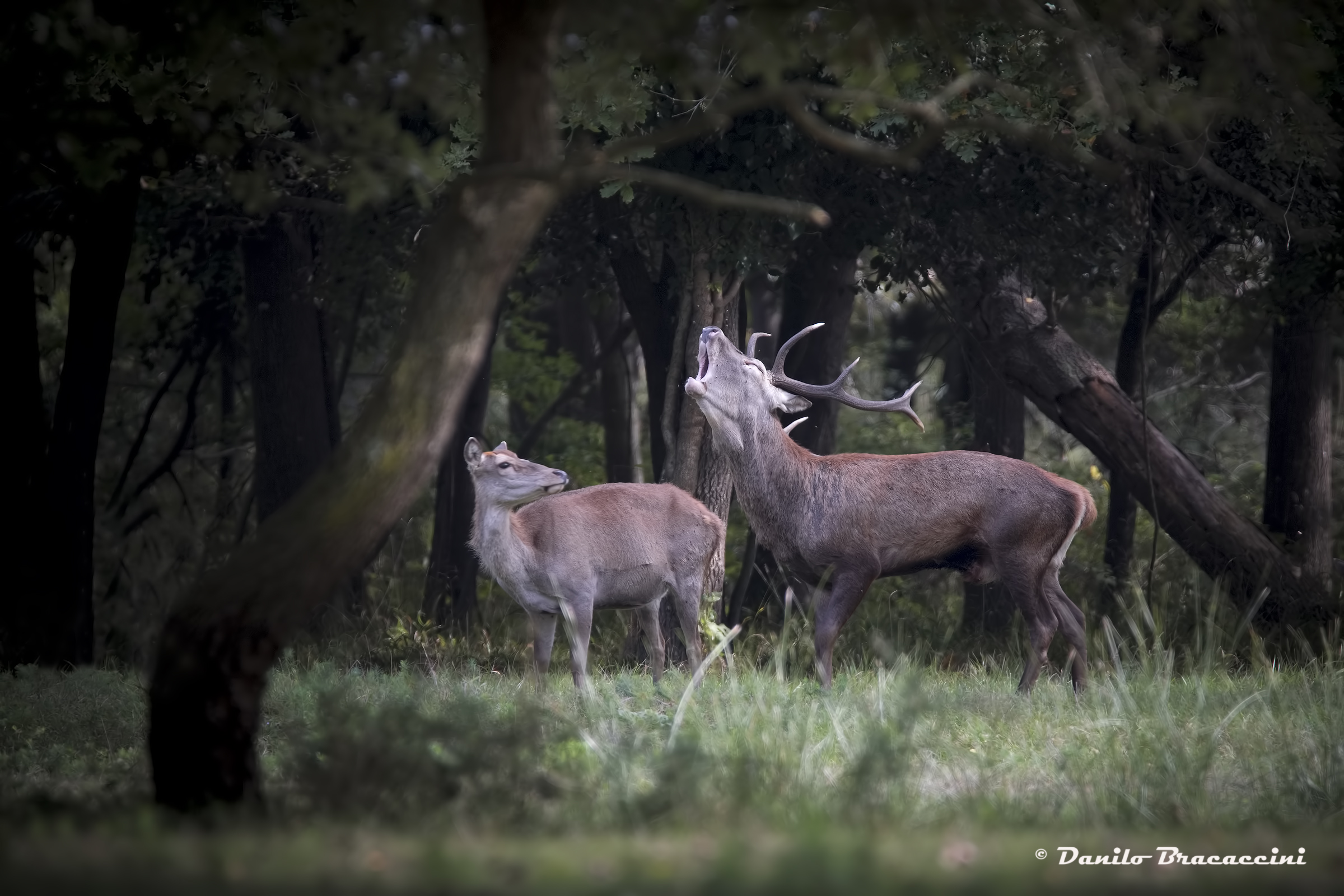 ....sguardo interessato....