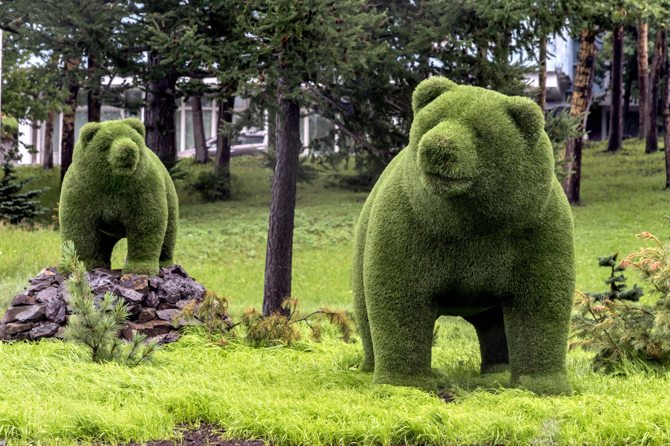 Kamchatka 2016 - Petropawlosk... sempre orsi..