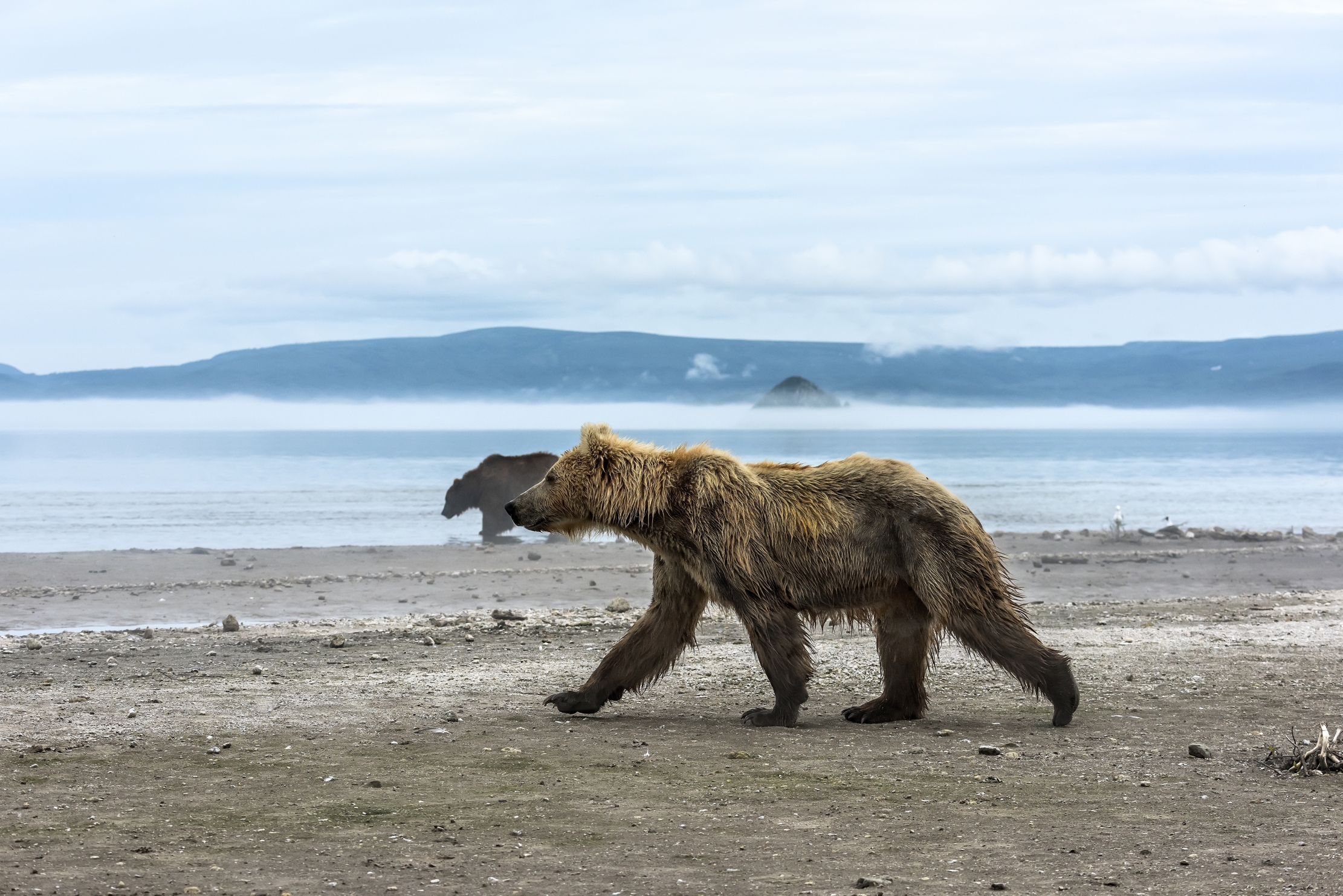 Kamchatka 2016 - Lungo il lago