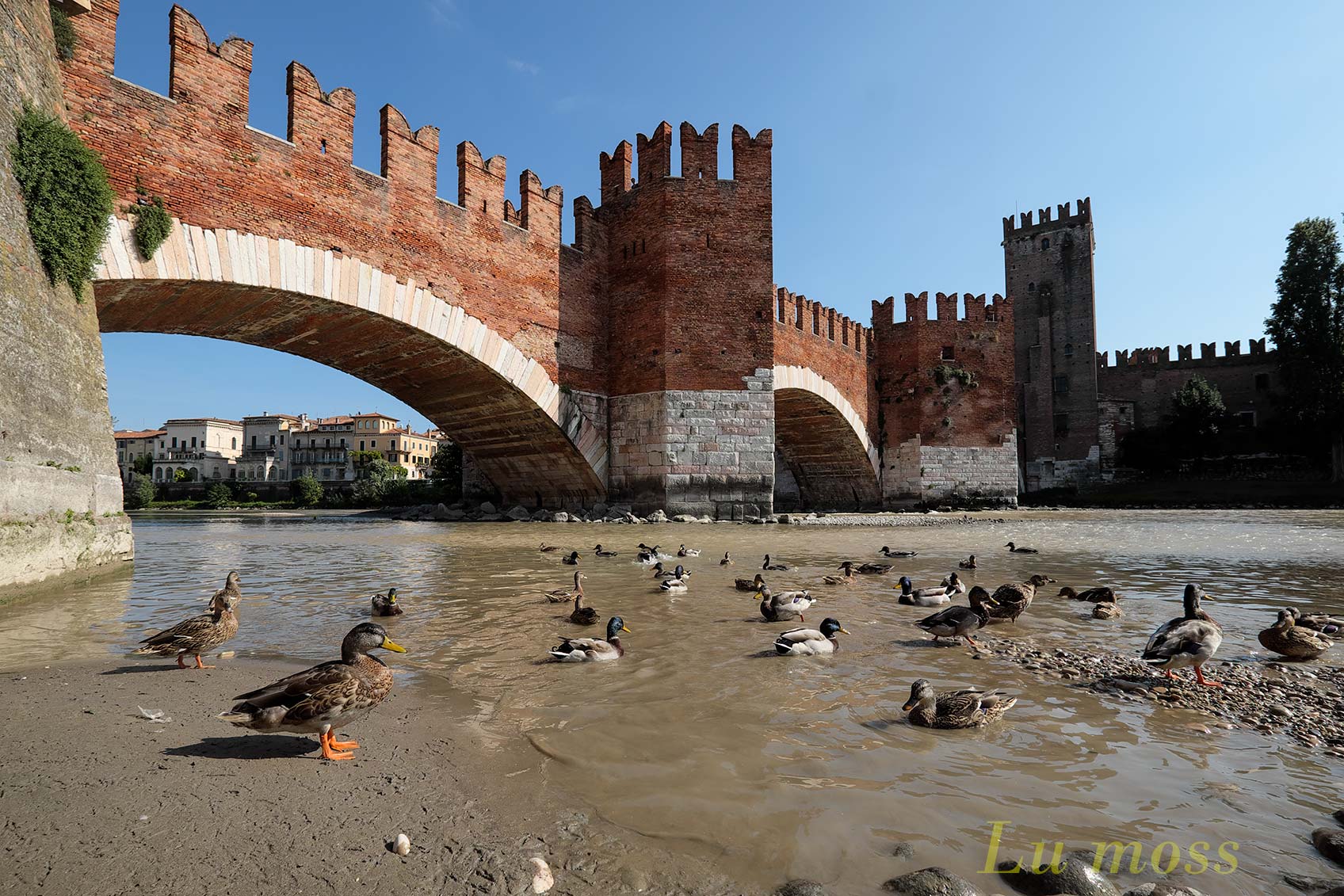 Verona-Paperelle a Pontevecchia