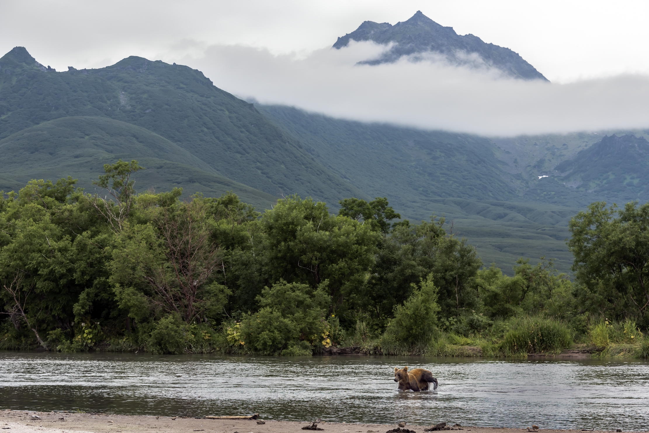 Kamchatka 2016 - Al mattino