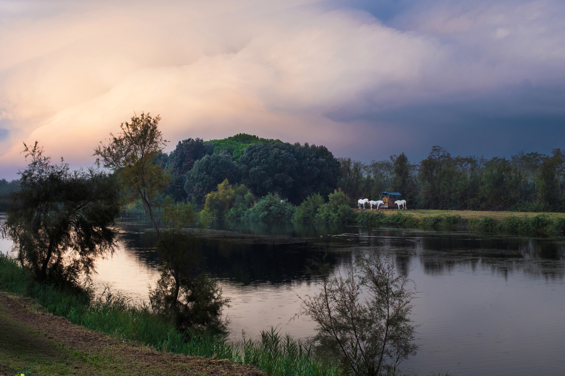 Omaggio ai pittori fiamminghi