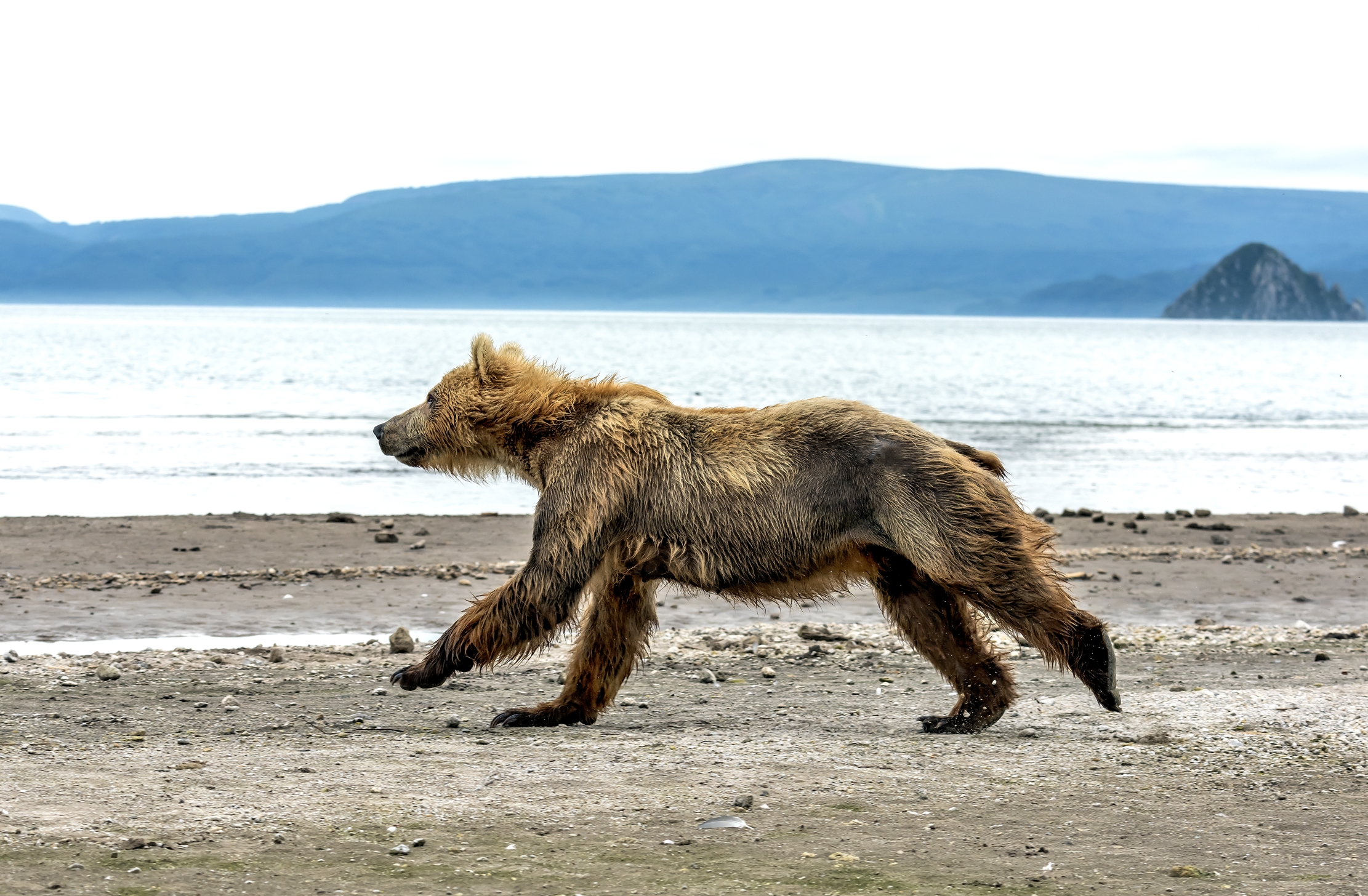 Kamchatka 2016 - Run