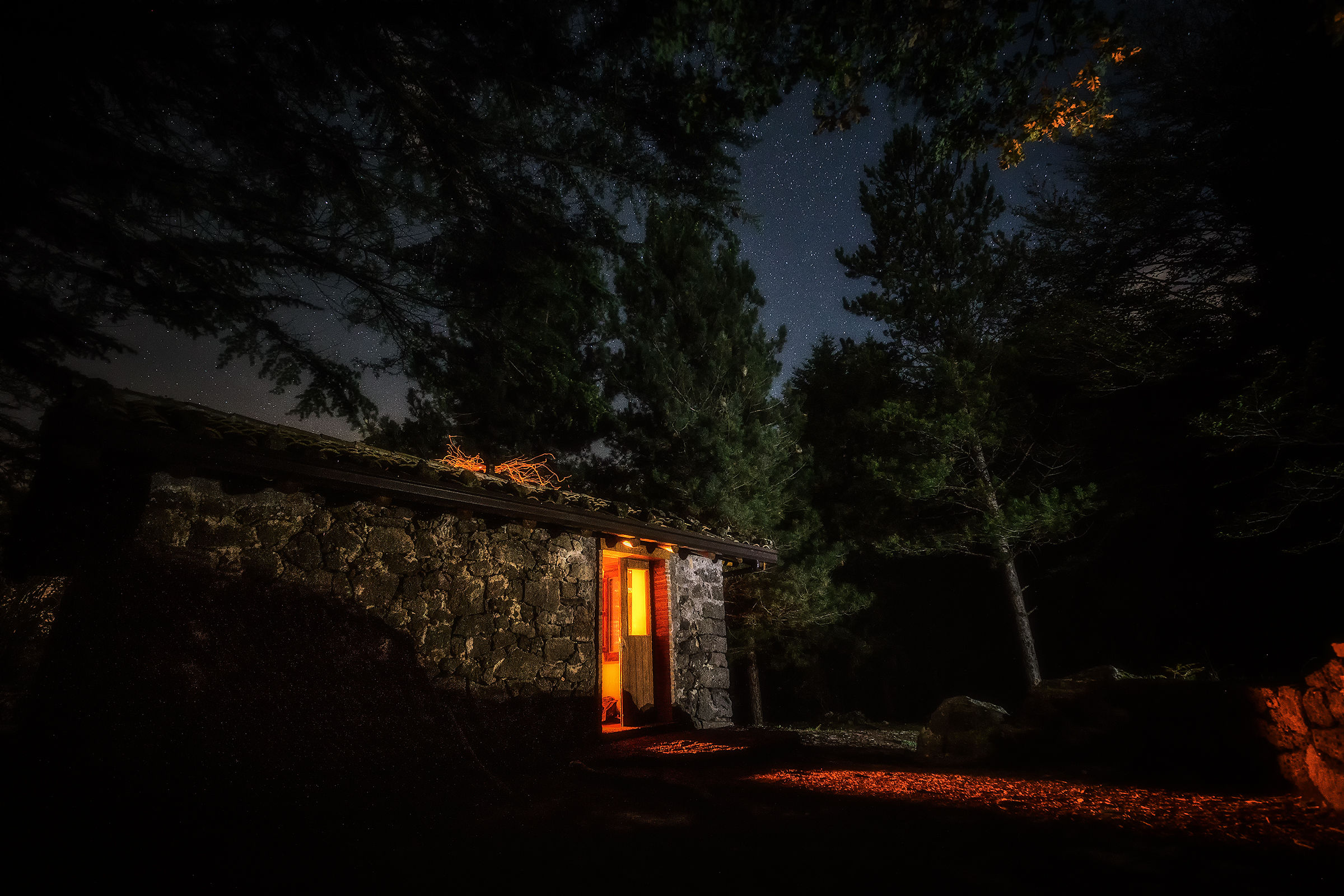 The hut in the woods