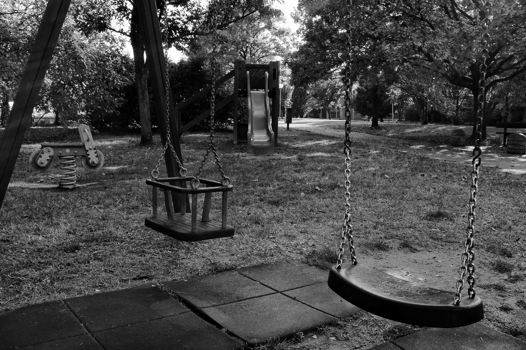 Palestra x uomini veri