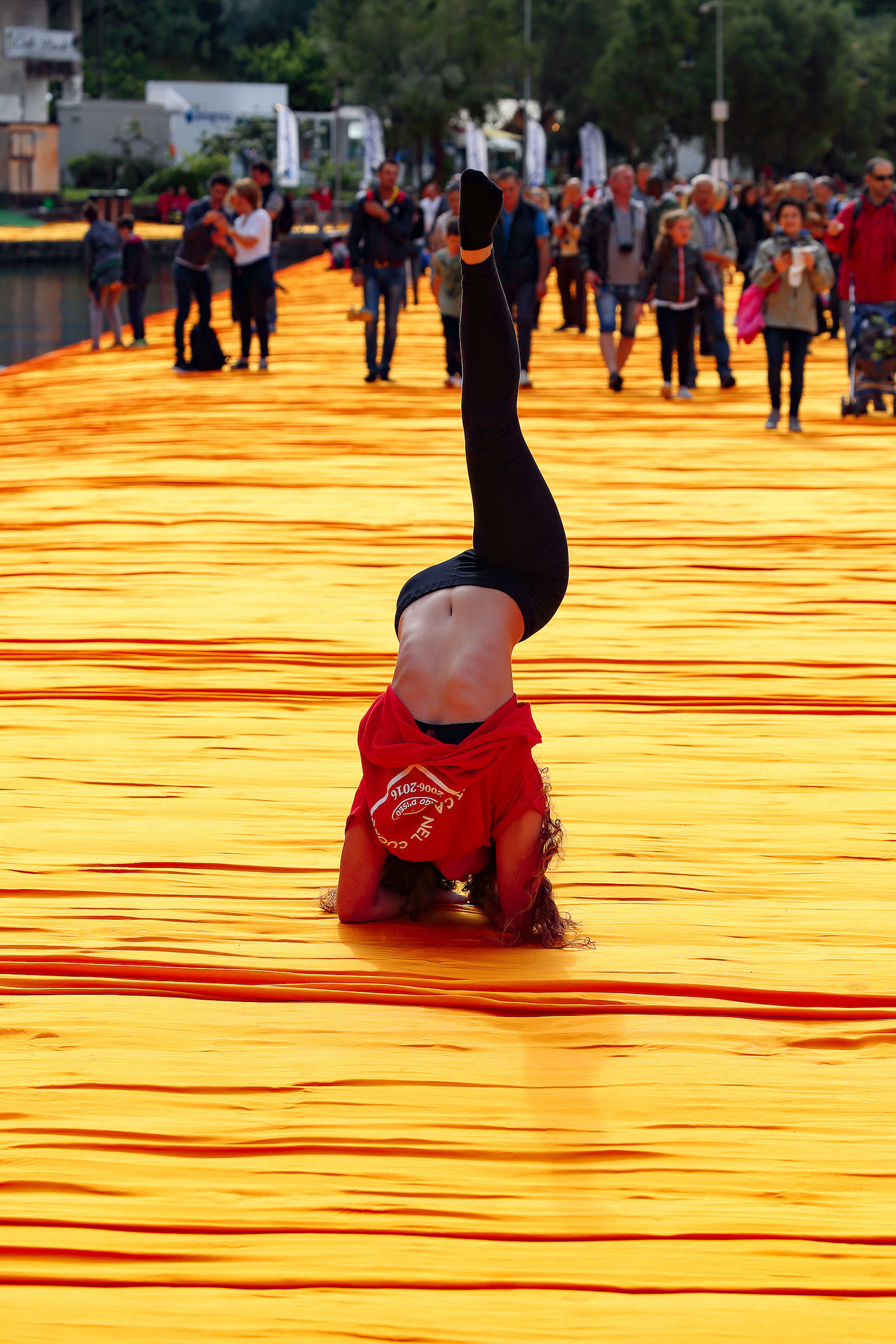 Vivere l'opera, la festa