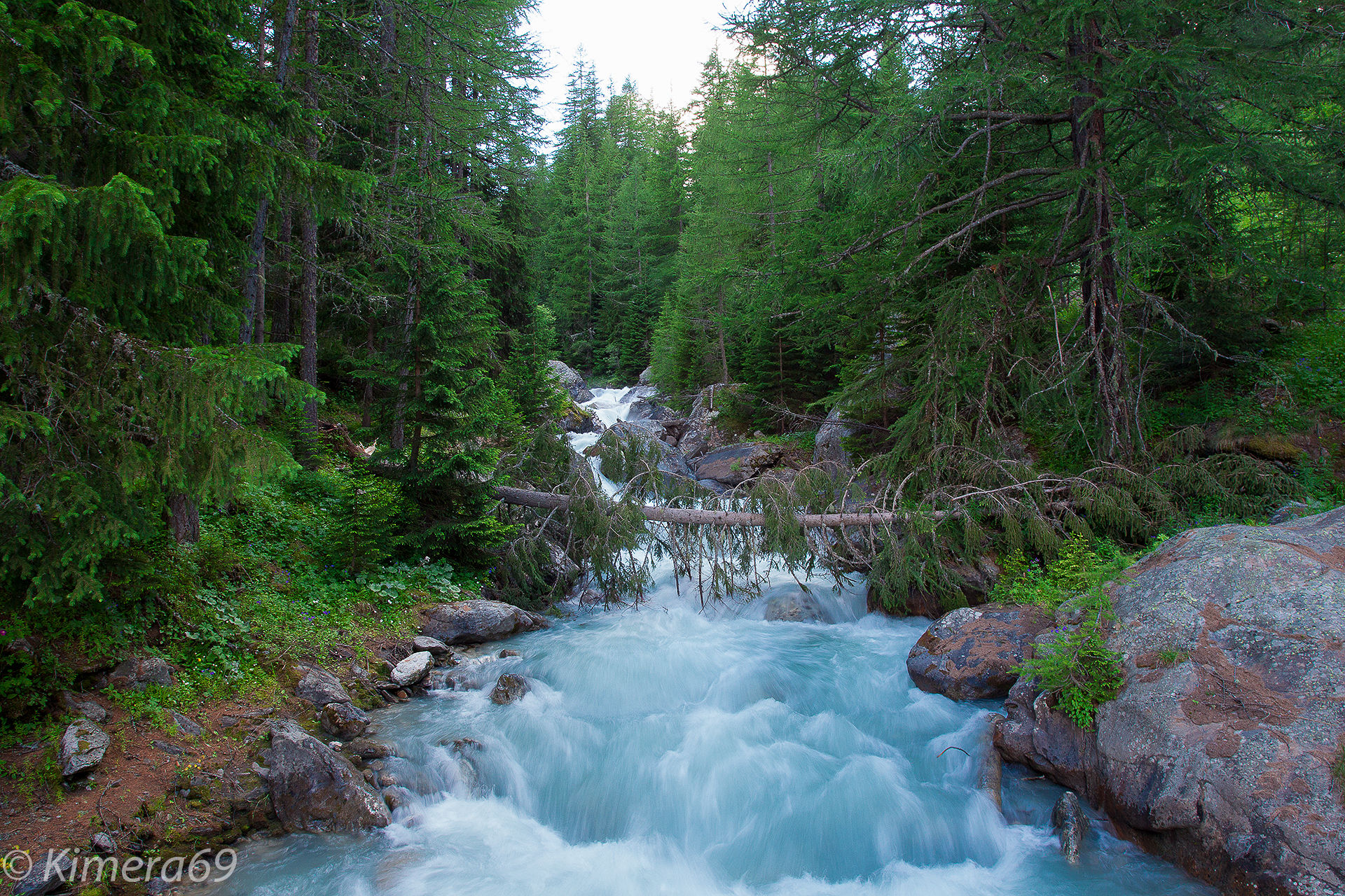 Chiare fresche acque