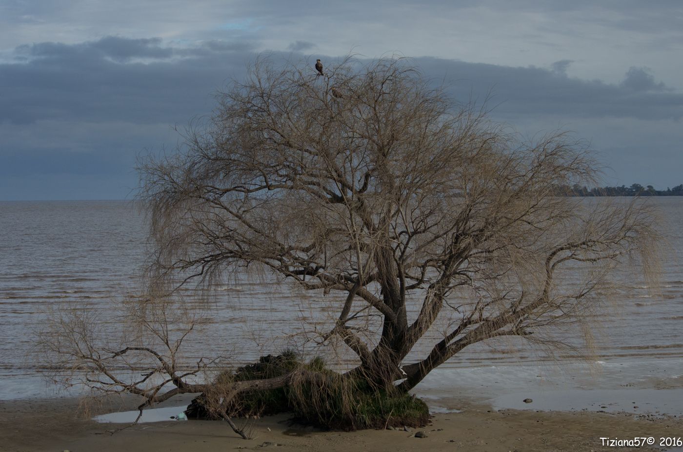 Along the Rio de la Plata