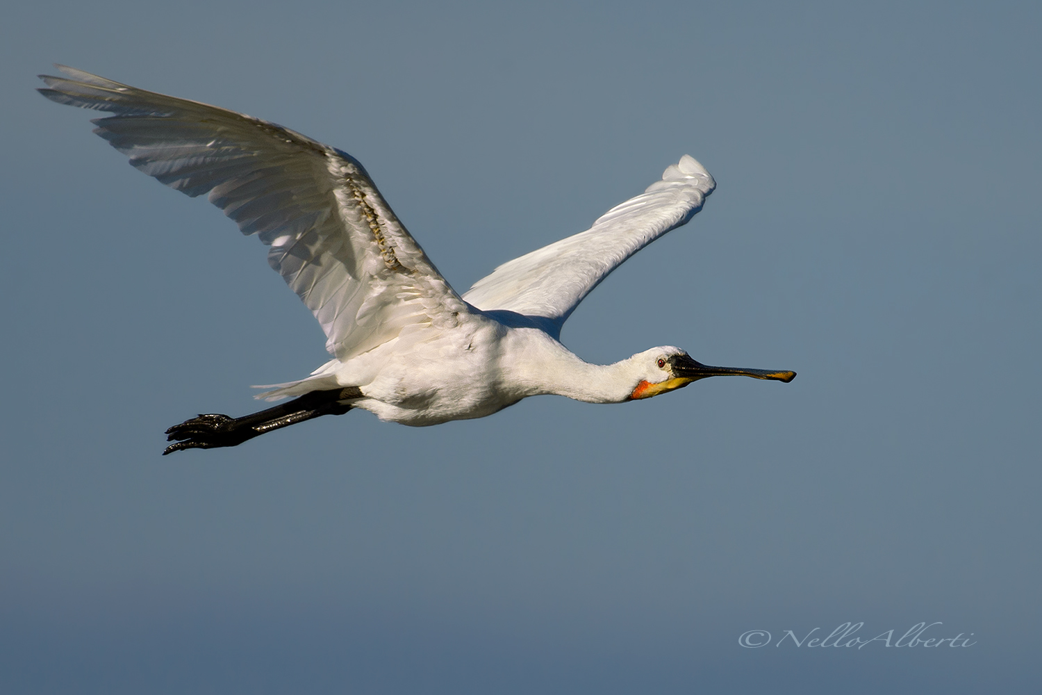 spatula in flight