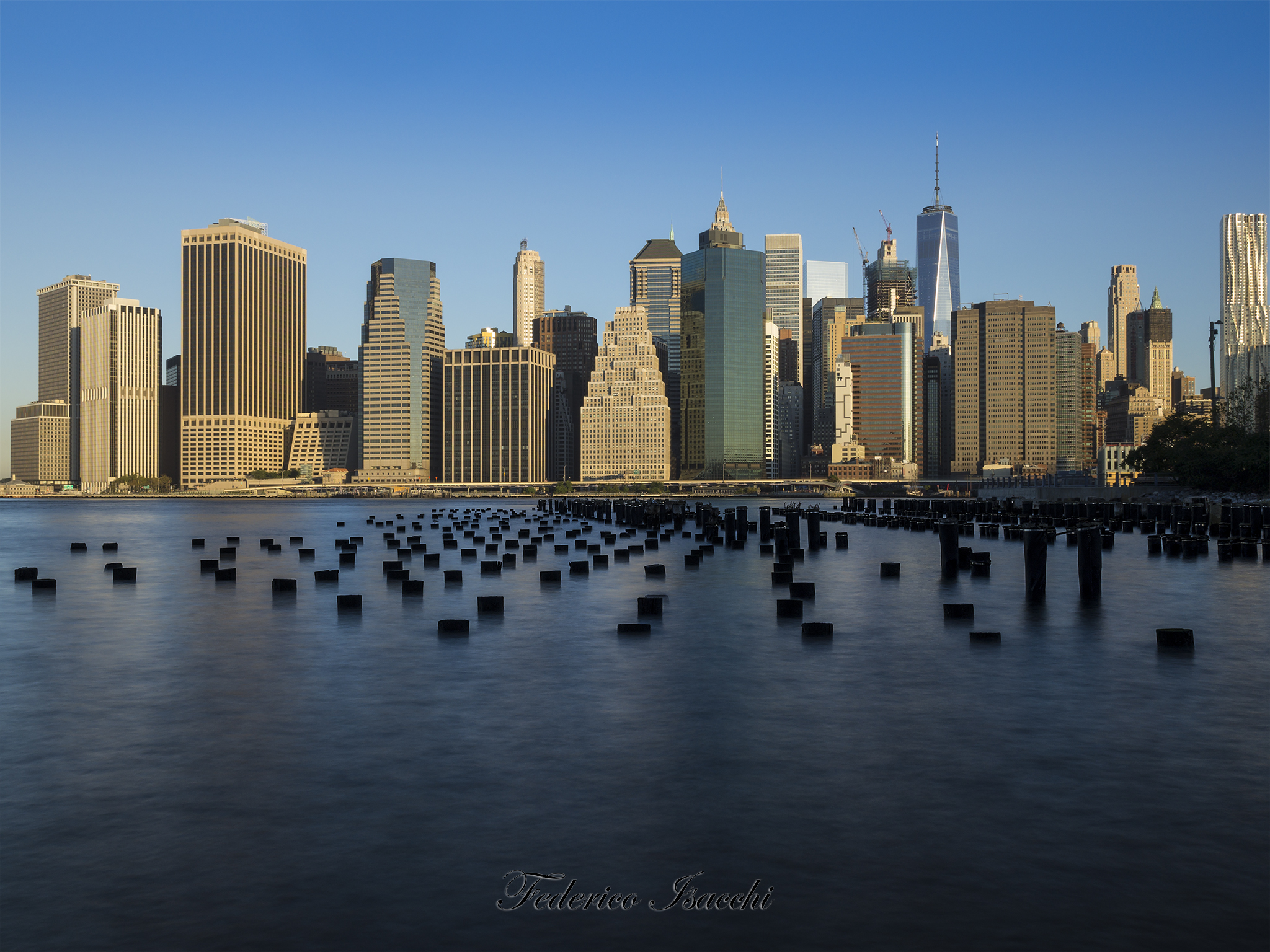 alba New York