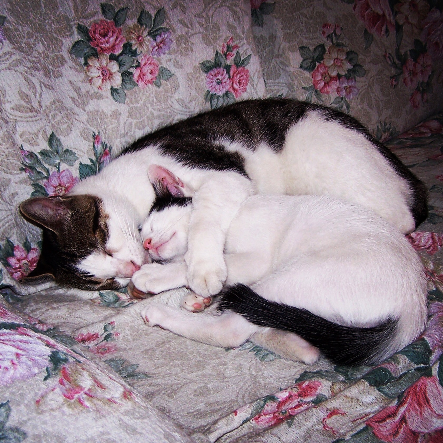 We have to be neighbors ... neighbors !!