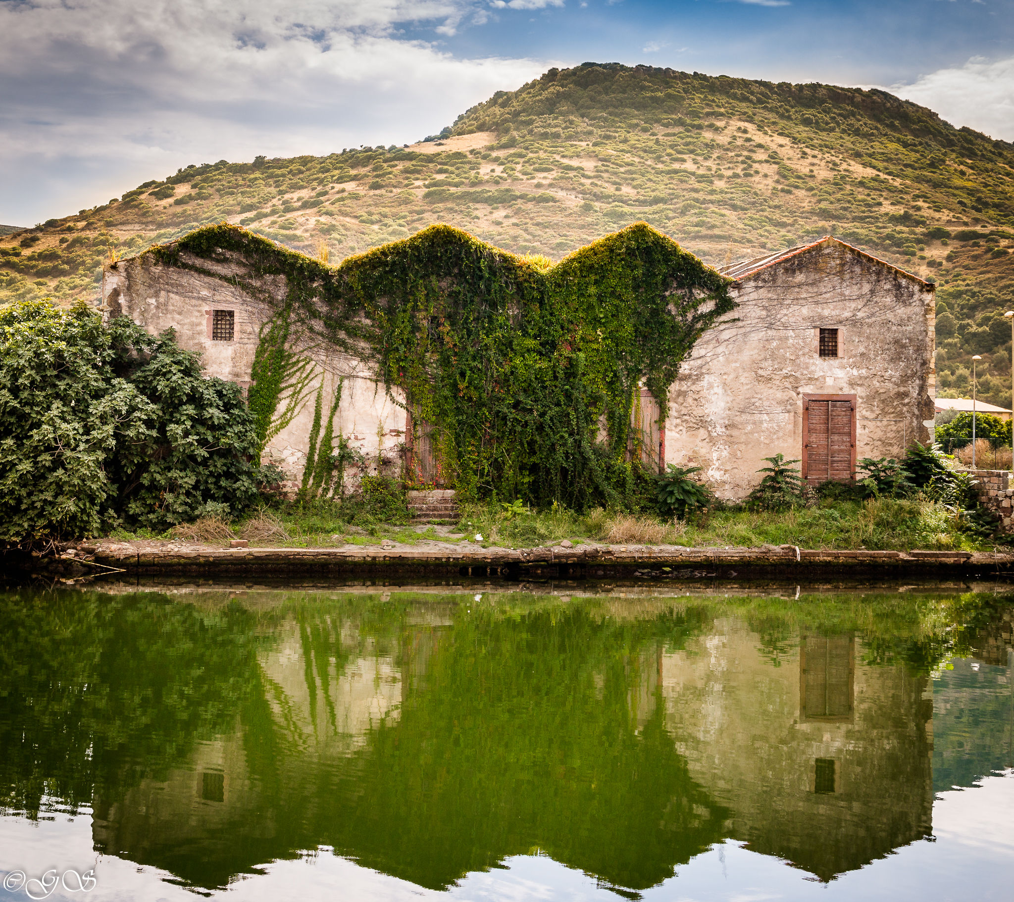 La natura vince sempre (parte 2)