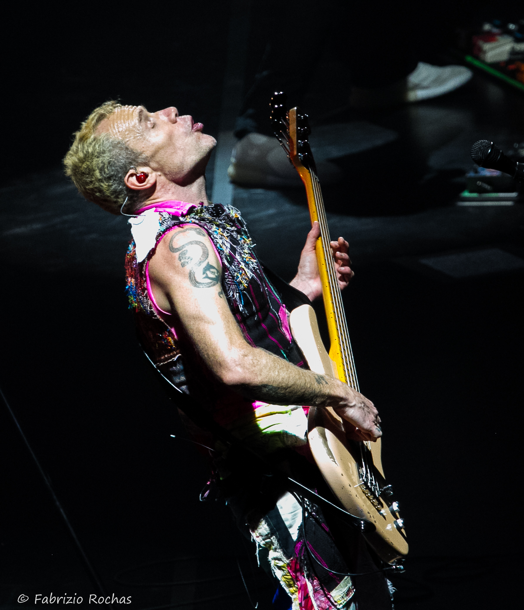 Flea ...