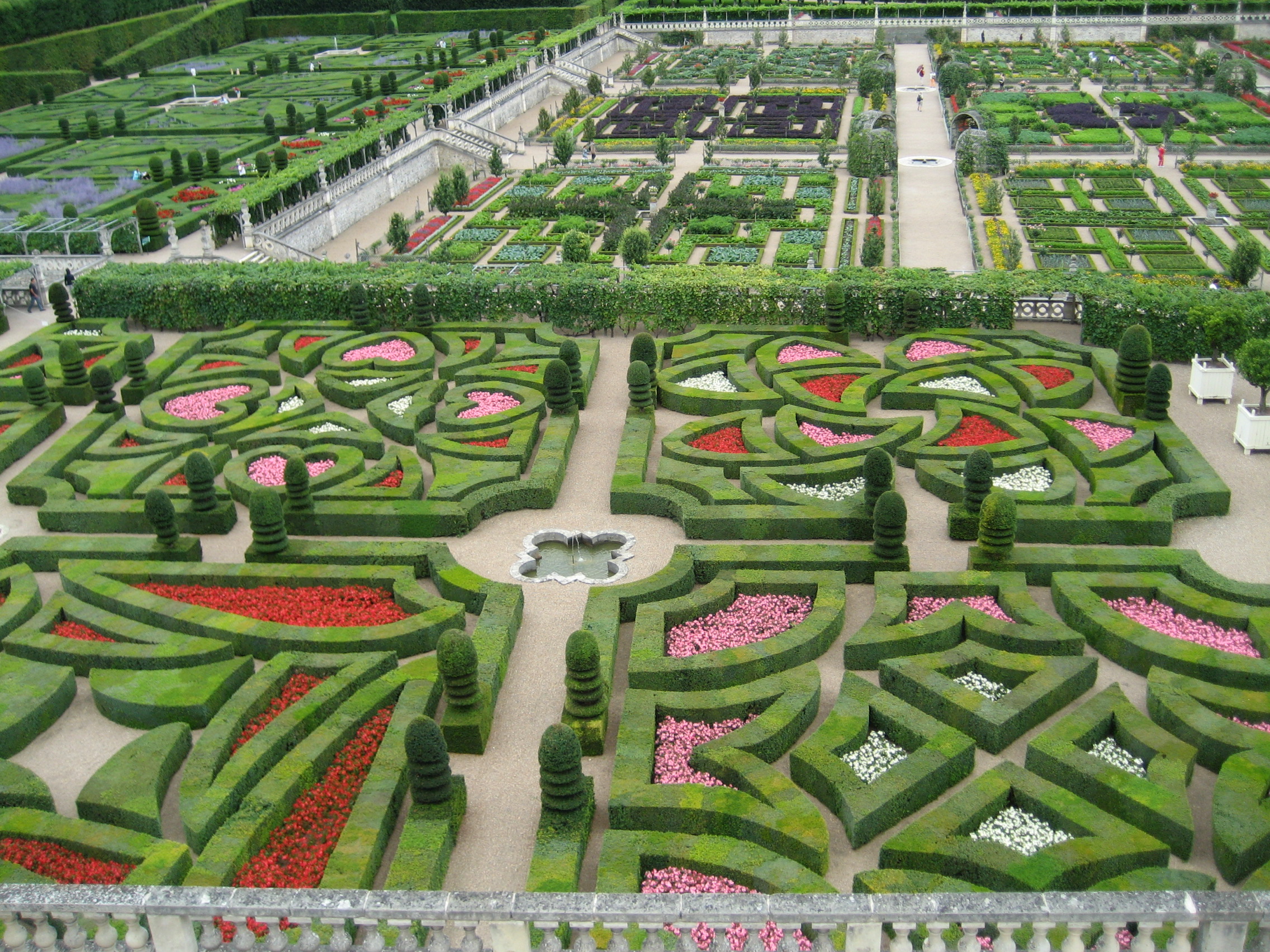 The gardener's patience